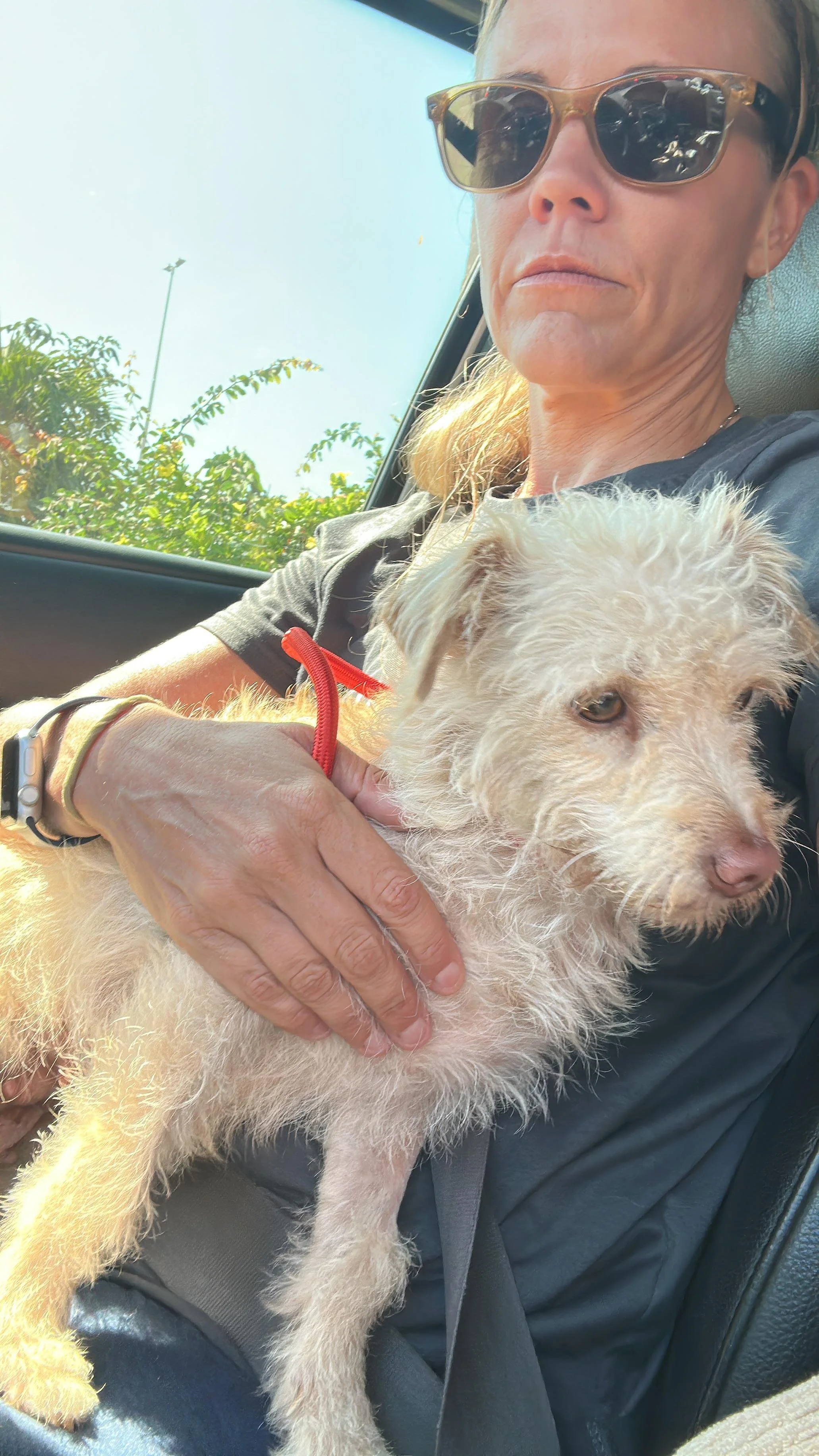 WhatsApp Image 2026-02-27 at 11.49.04 AM (3).jpeg