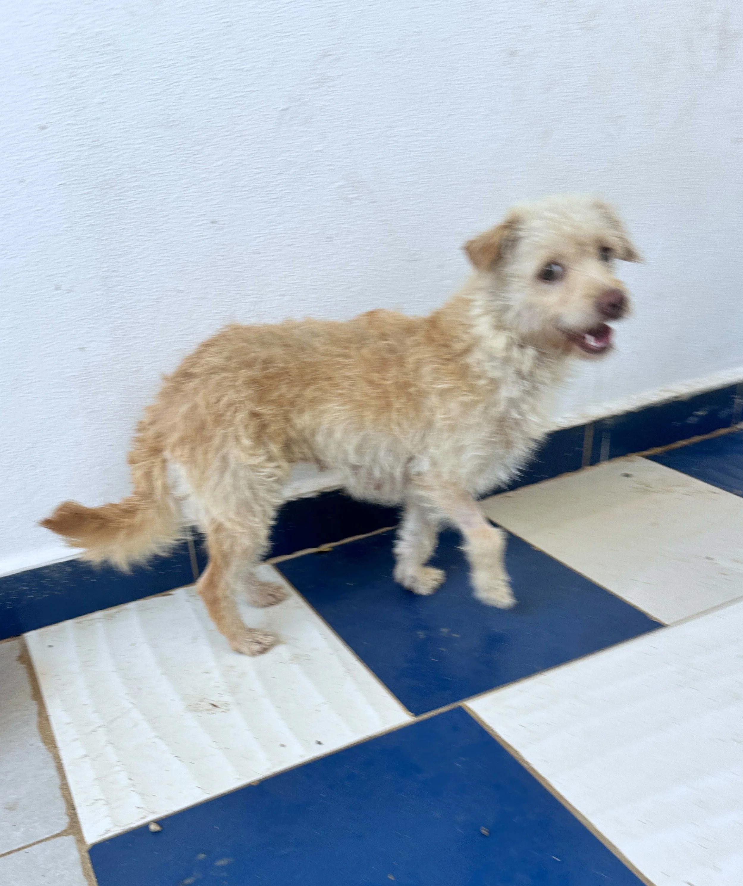 WhatsApp Image 2026-02-27 at 11.49.04 AM (1).jpeg