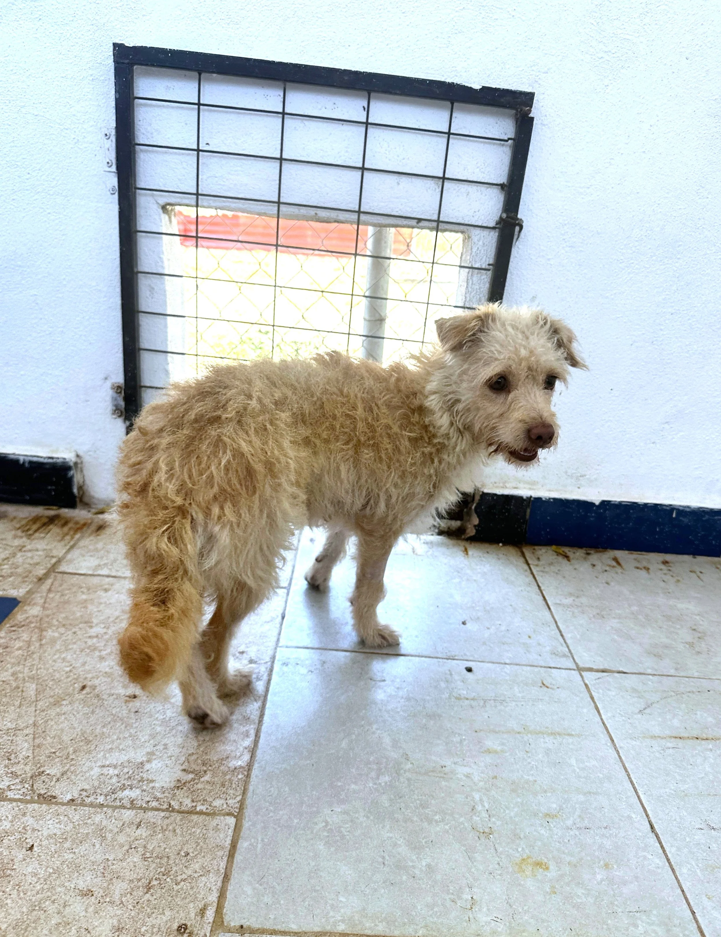 WhatsApp Image 2026-02-27 at 11.48.55 AM.jpeg