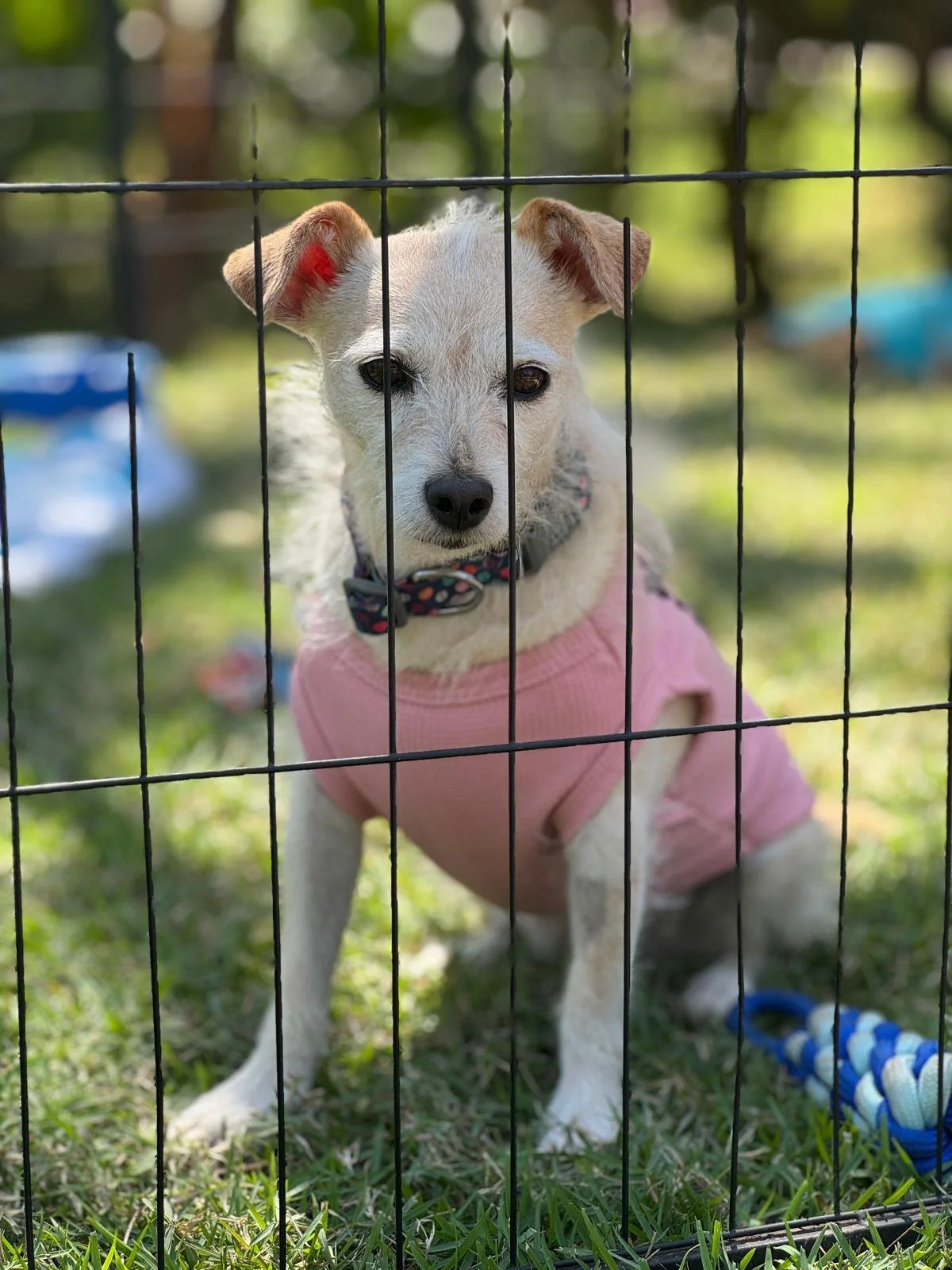 WhatsApp Image 2026-02-25 at 1.25.55 PM.jpeg