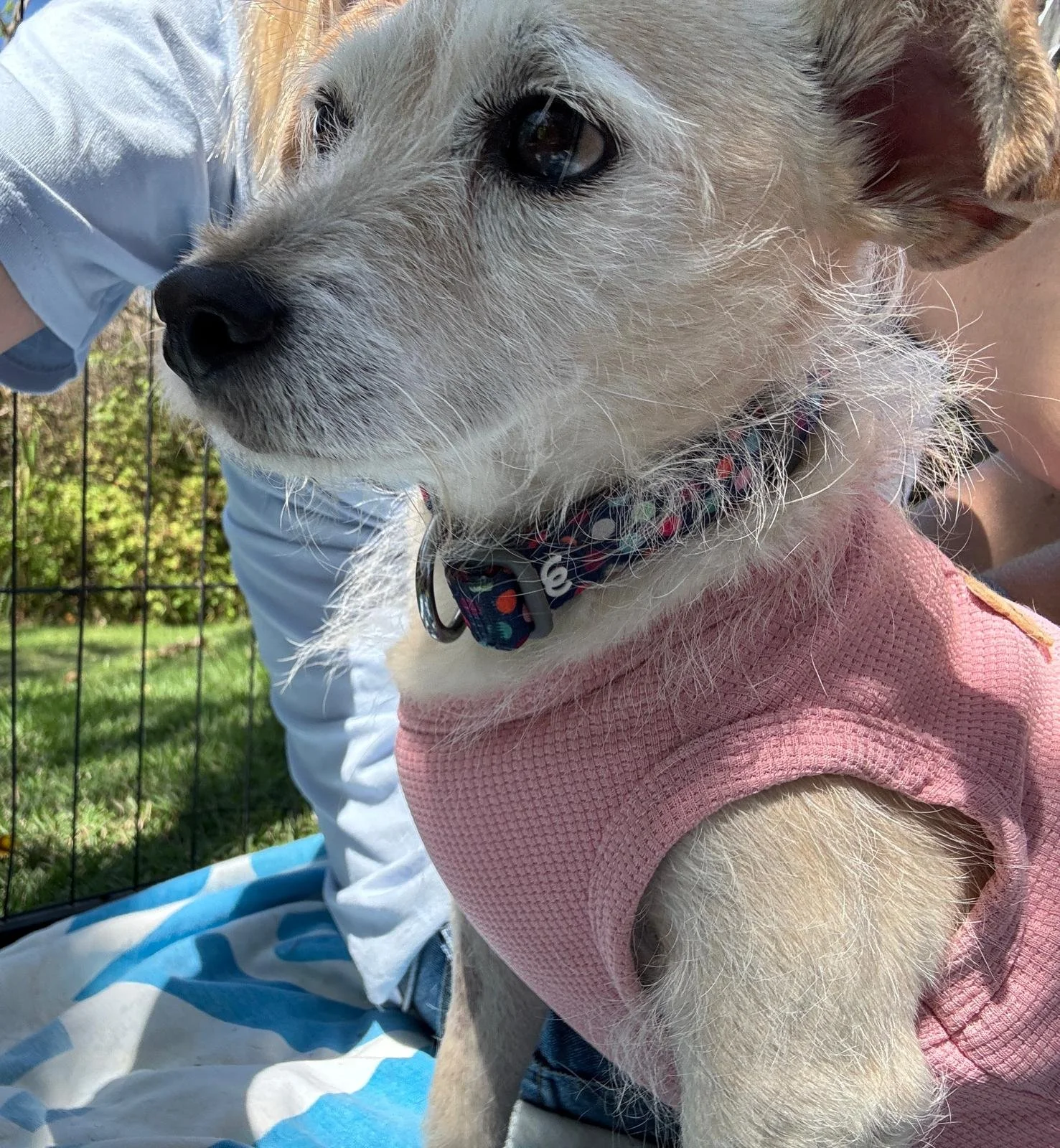 WhatsApp Image 2026-02-25 at 1.26.21 PM.jpeg