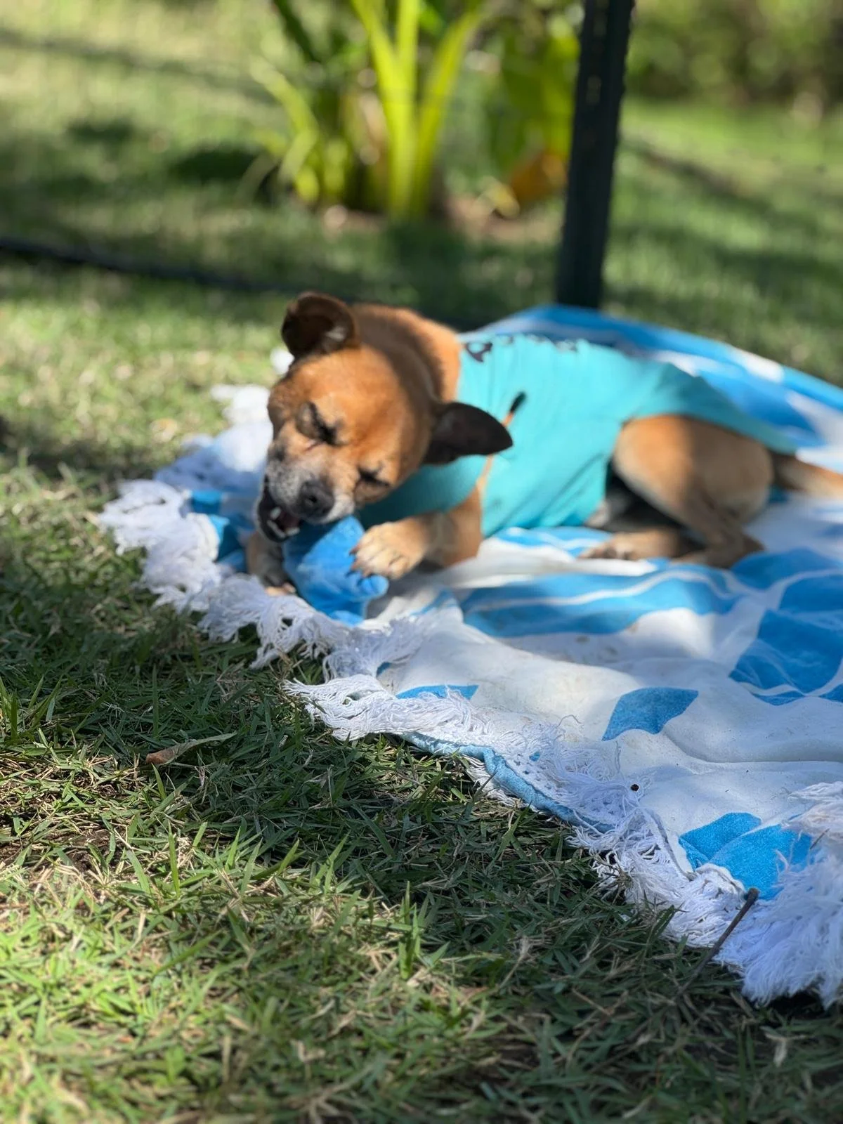 WhatsApp Image 2026-02-25 at 1.24.27 PM.jpeg