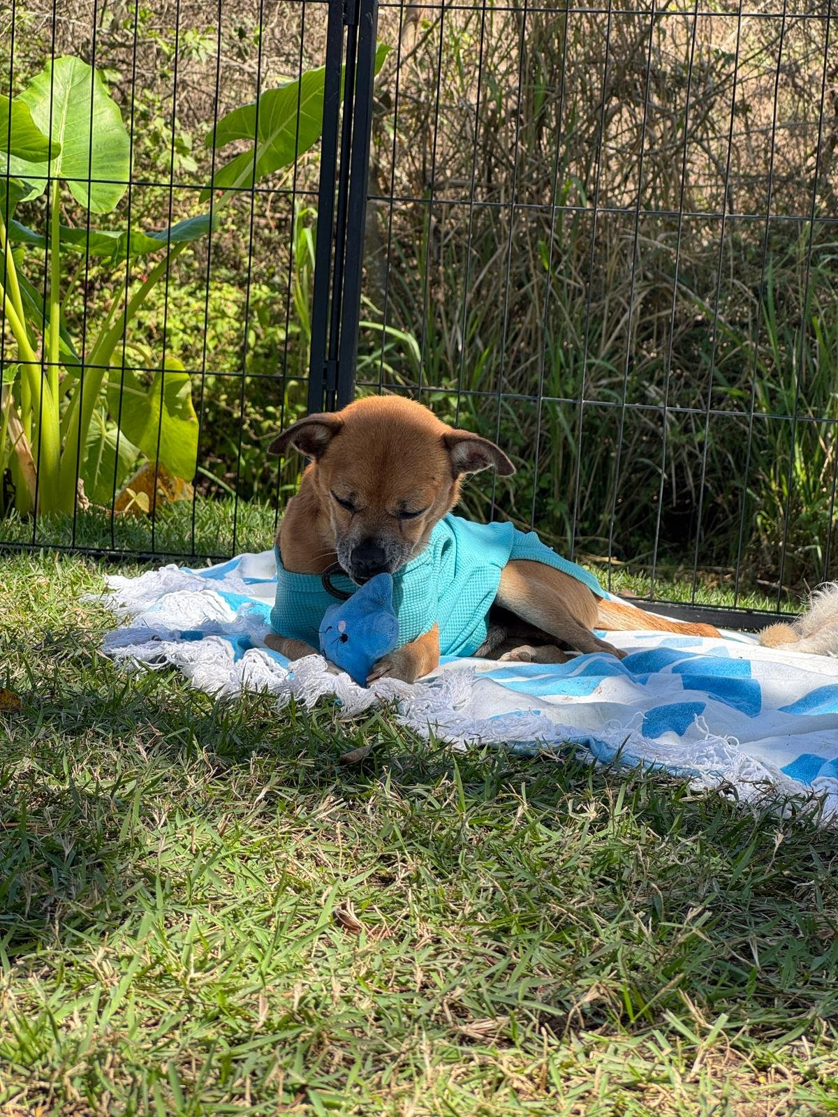 WhatsApp Image 2026-02-25 at 1.25.28 PM.jpeg