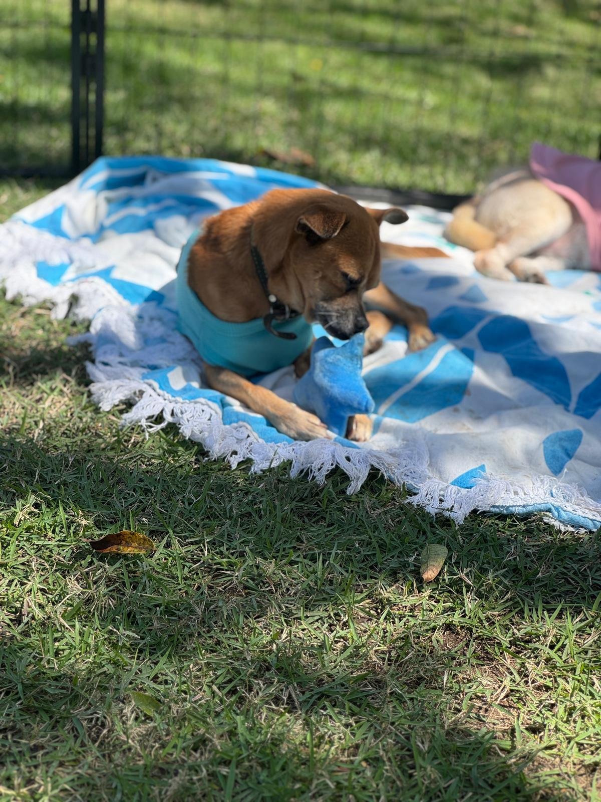 WhatsApp Image 2026-02-25 at 1.24.21 PM.jpeg