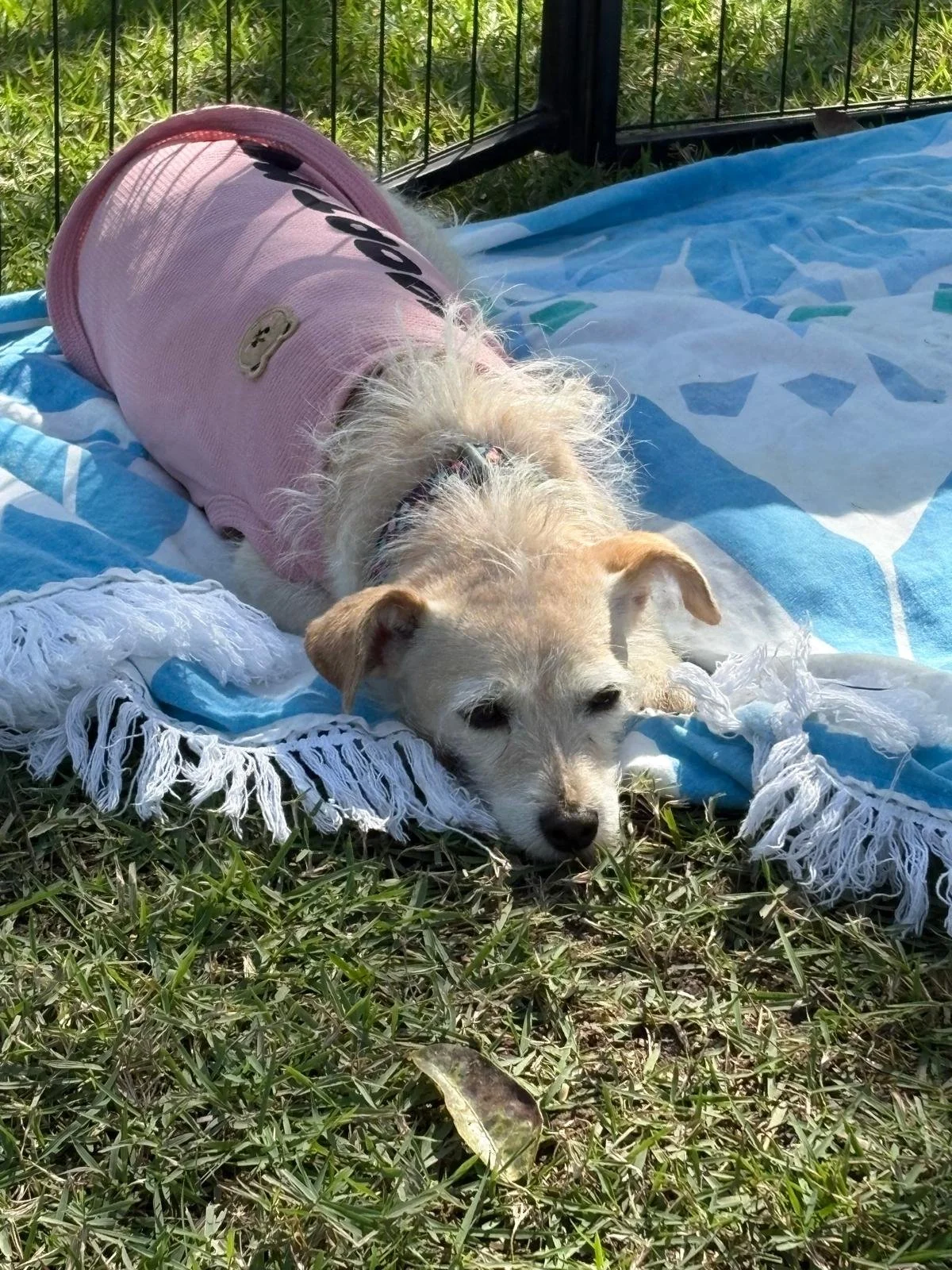 WhatsApp Image 2026-02-25 at 10.48.26 AM.jpeg