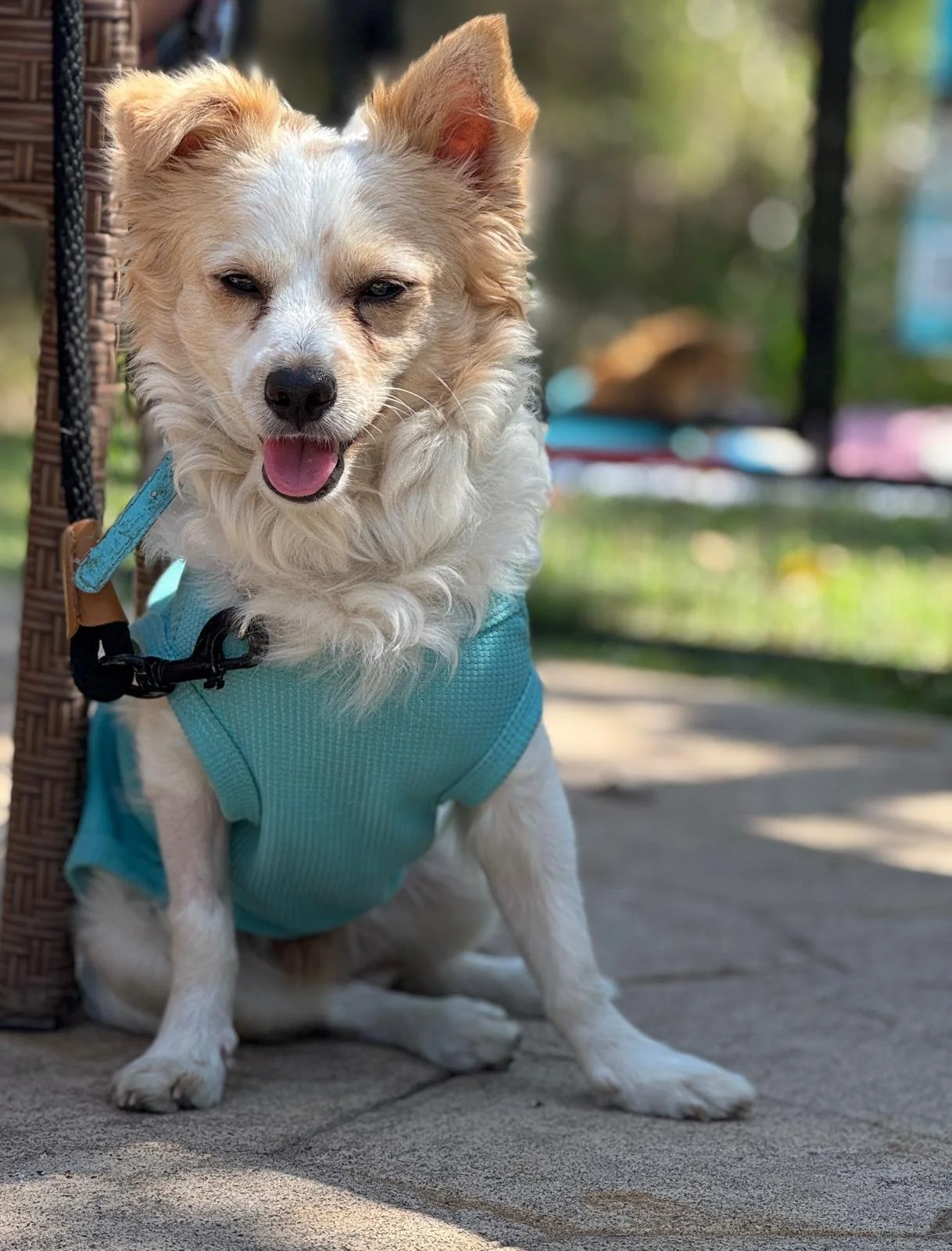 WhatsApp Image 2026-02-25 at 1.24.47 PM.jpeg