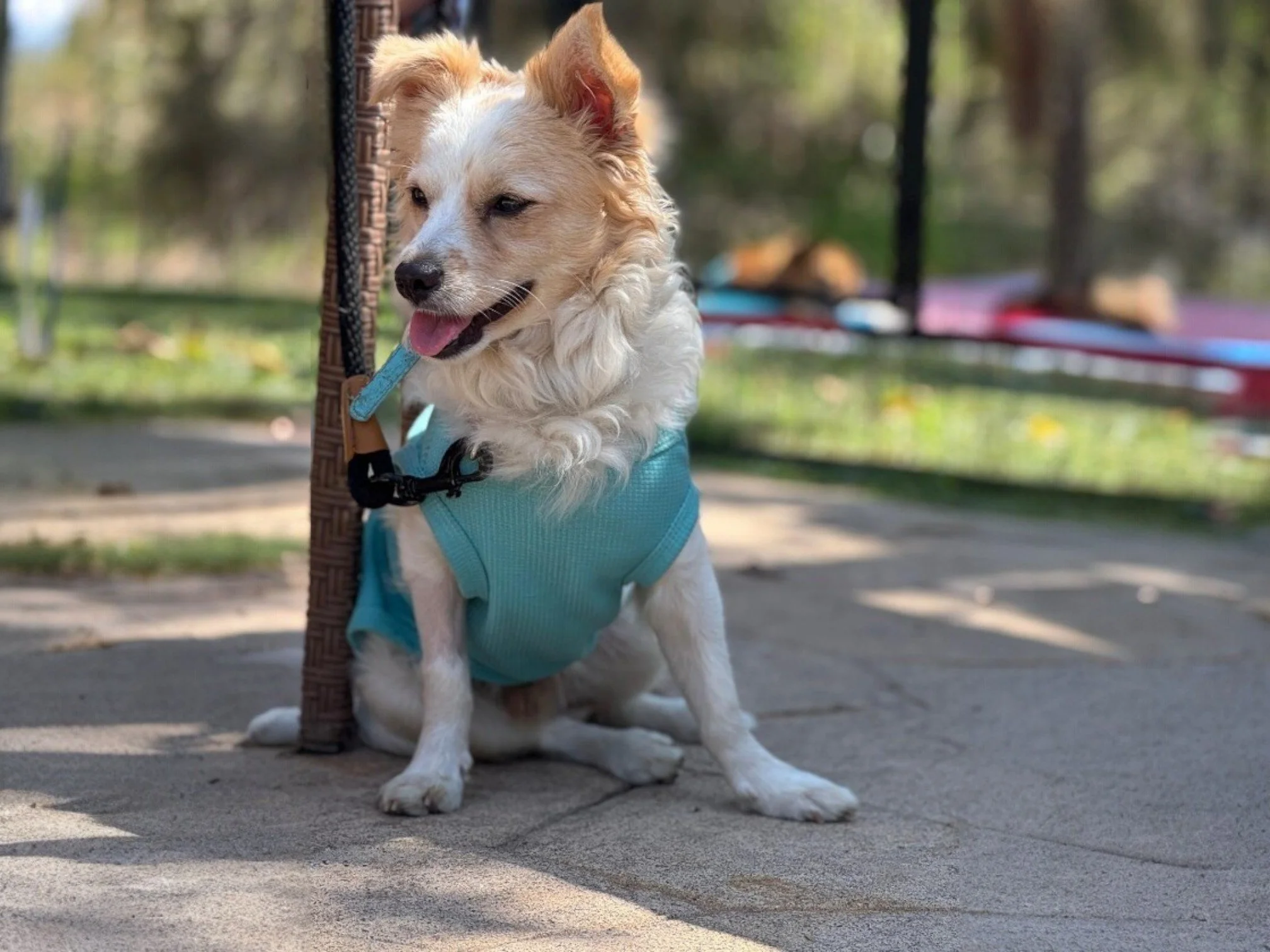 WhatsApp Image 2026-02-25 at 1.25.05 PM.jpg