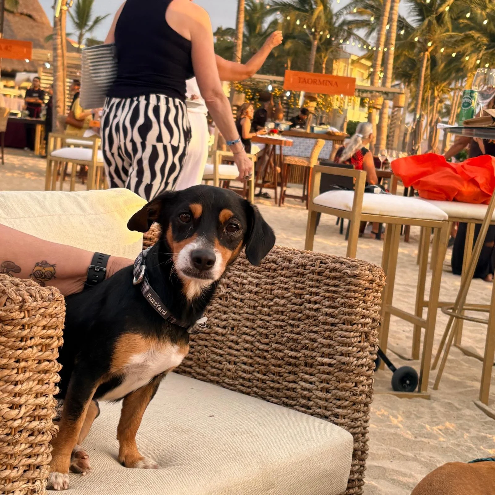 WhatsApp Image 2026-03-01 at 8.06.36 AM (1).jpeg