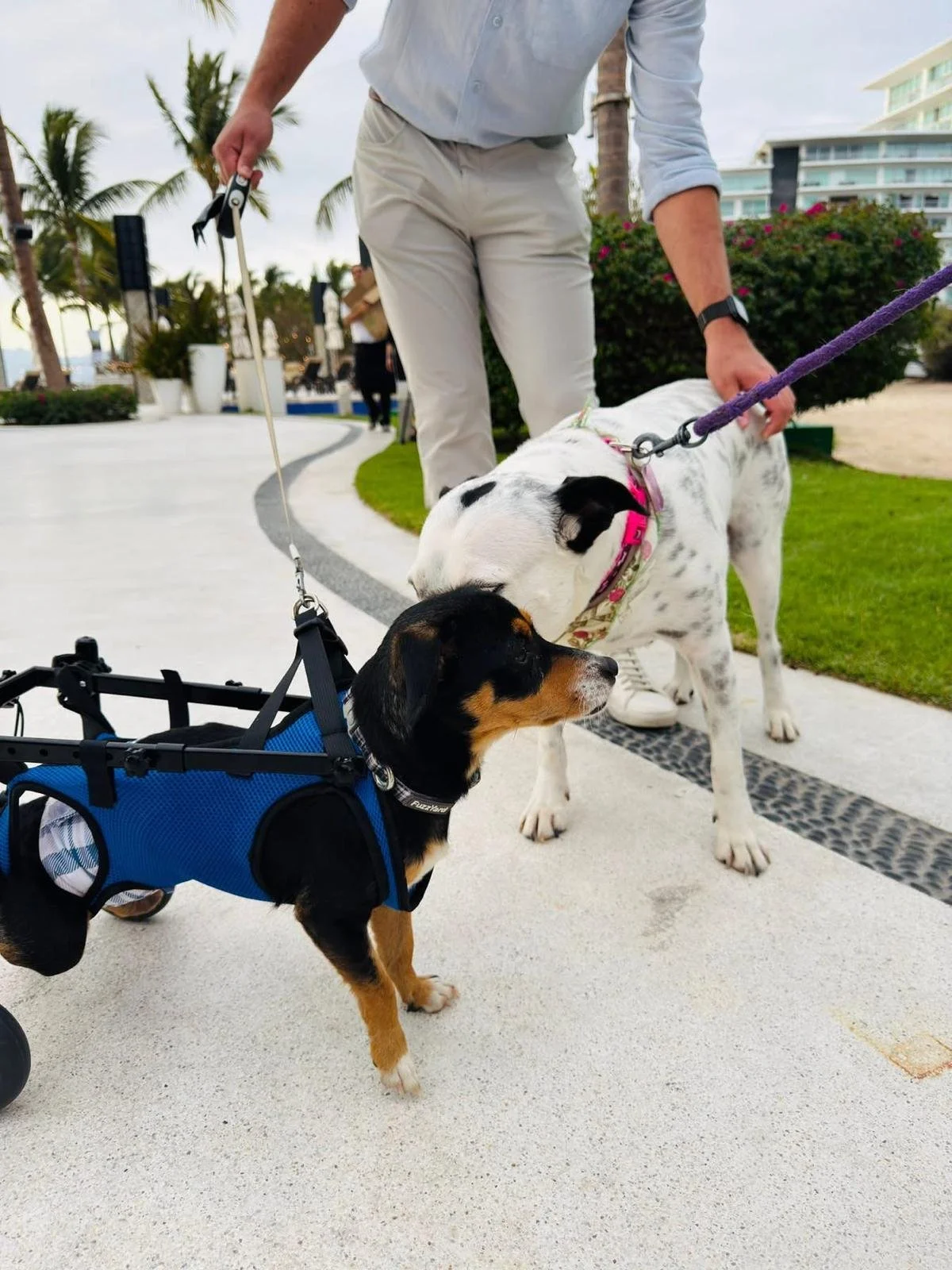 WhatsApp Image 2026-03-01 at 9.12.34 AM.jpeg