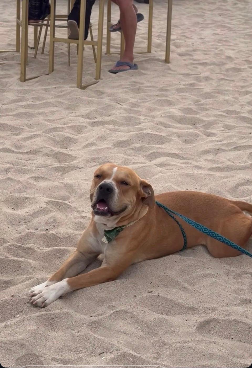 WhatsApp Image 2026-03-01 at 11.53.02 AM (1).jpeg