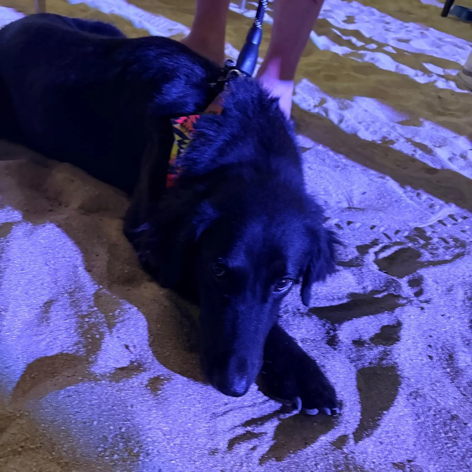 WhatsApp Image 2026-03-01 at 8.08.26 AM (4).jpeg