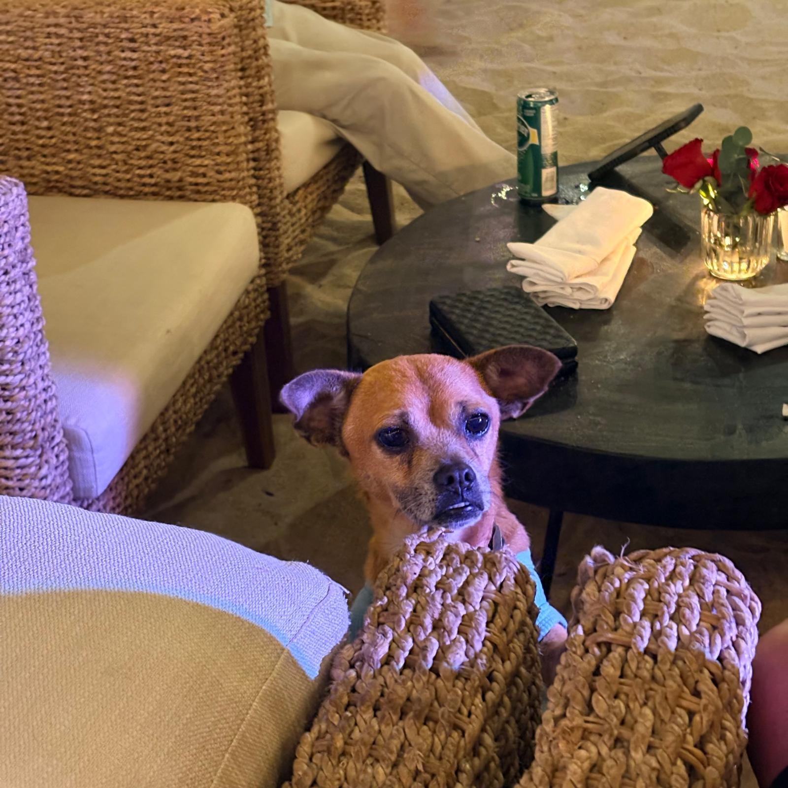 WhatsApp Image 2026-03-01 at 8.07.35 AM.jpeg