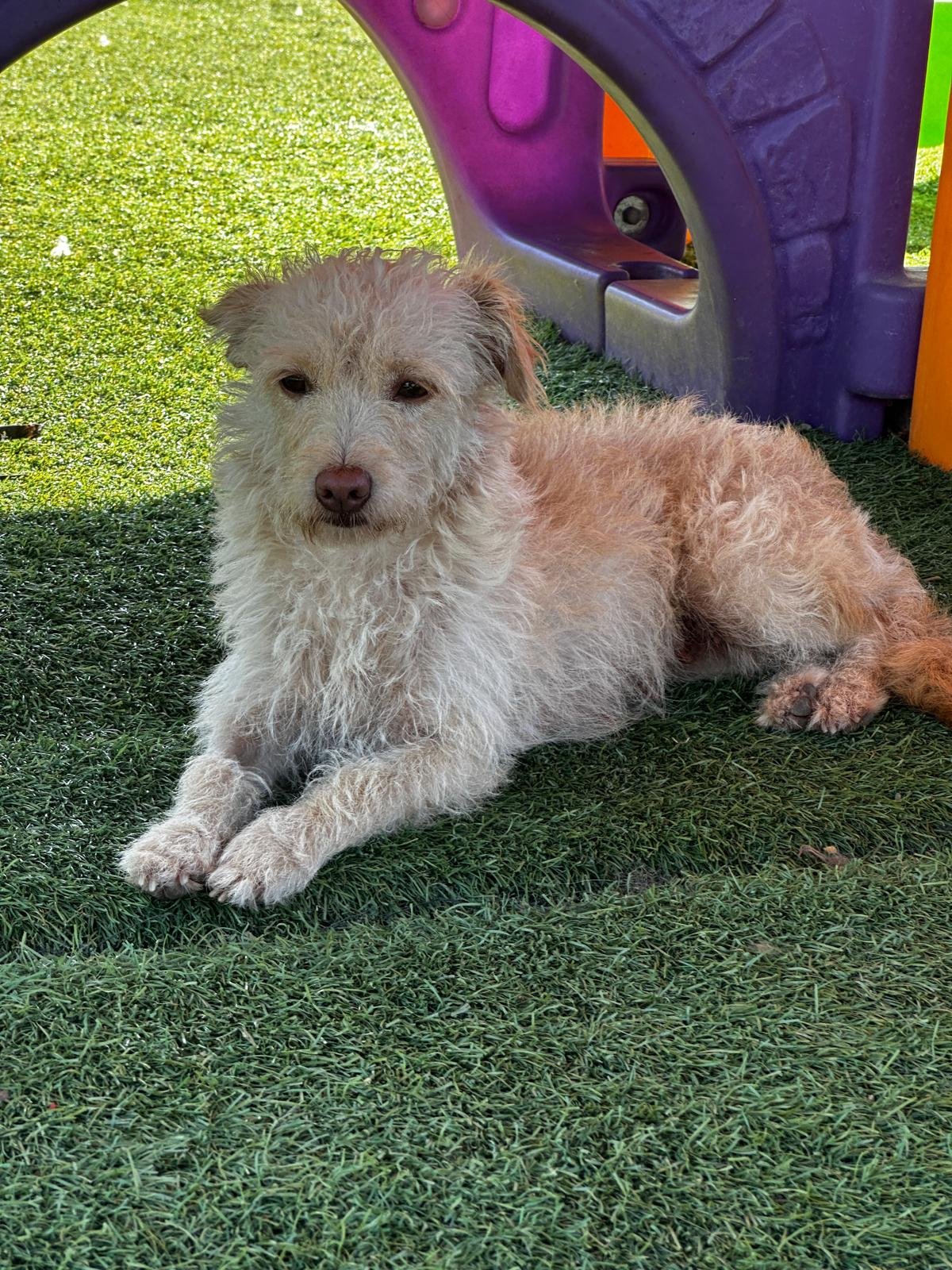 WhatsApp Image 2026-03-01 at 4.40.28 PM.jpeg