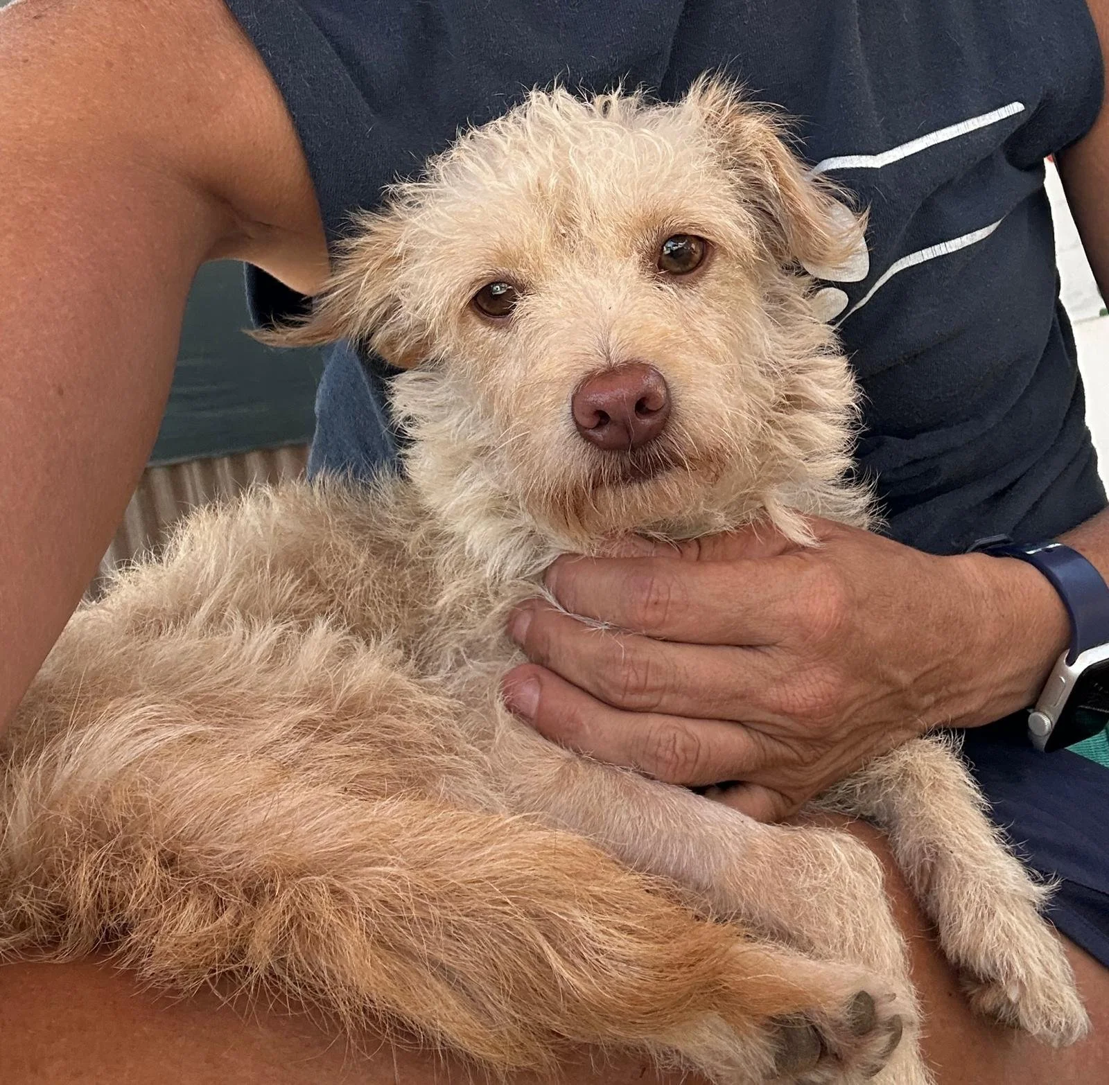 WhatsApp Image 2026-03-01 at 4.26.58 PM.jpeg