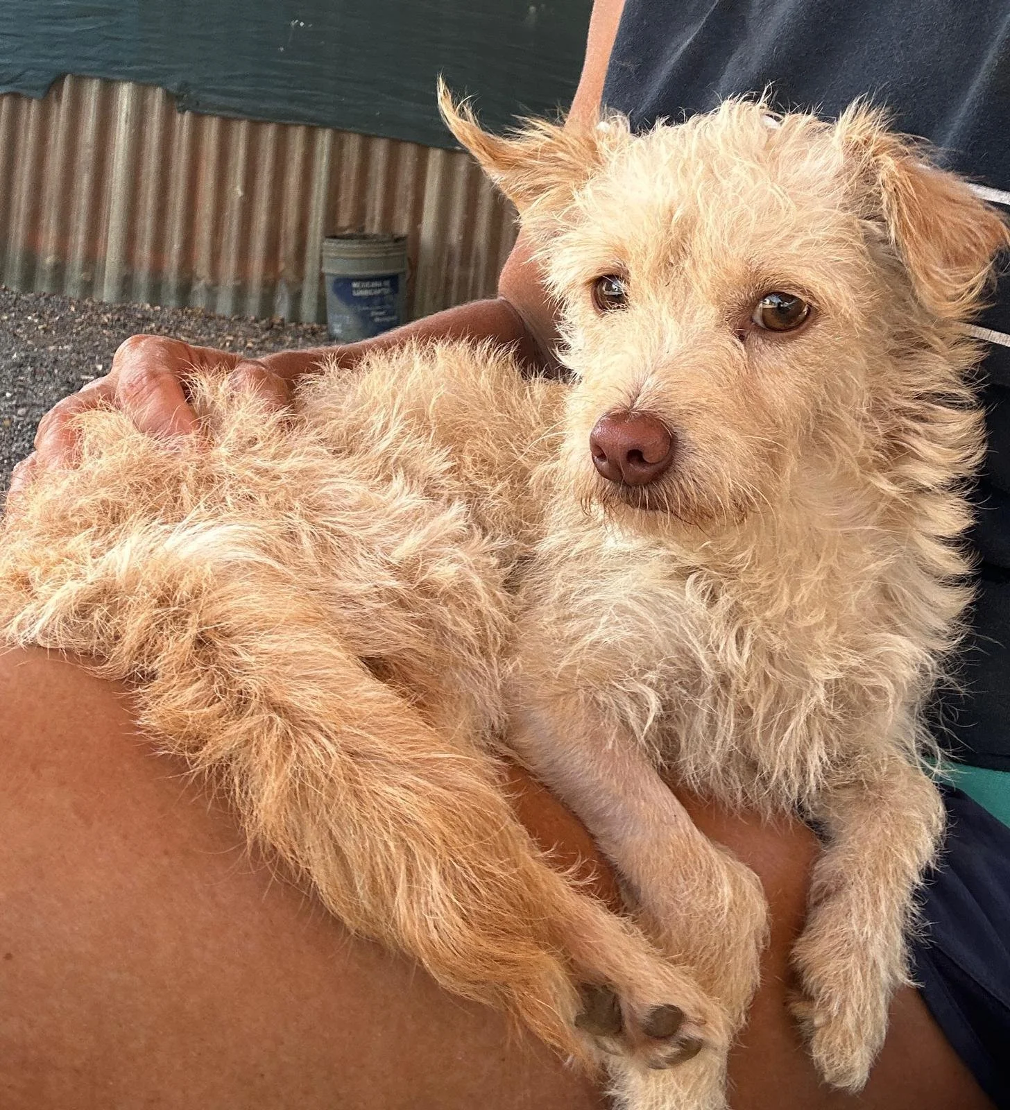 WhatsApp Image 2026-03-01 at 4.26.58 PM (2).jpeg