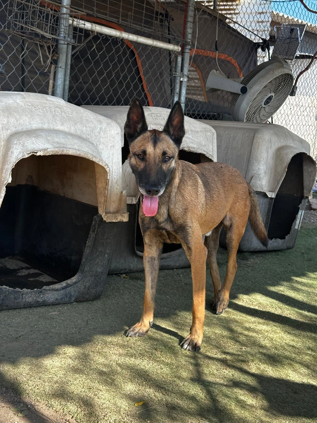 WhatsApp Image 2026-03-01 at 4.27.42 PM (2).jpeg