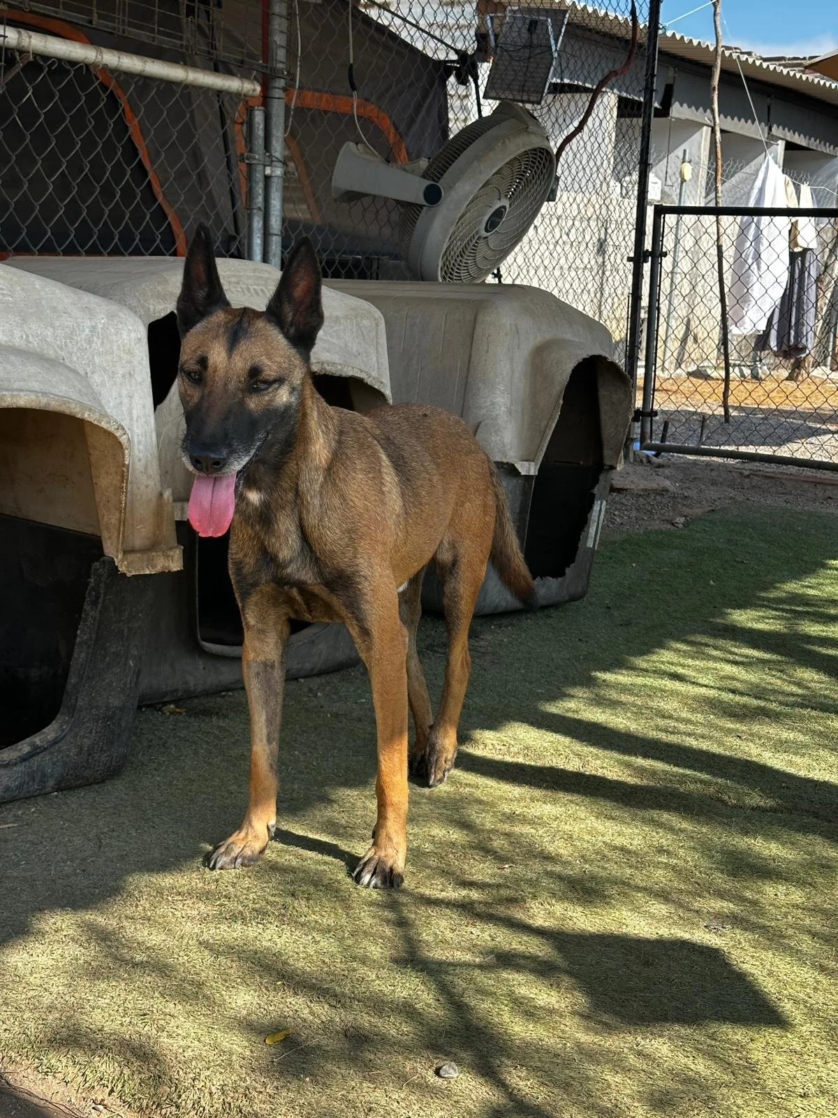 WhatsApp Image 2026-03-01 at 4.27.42 PM (1).jpeg