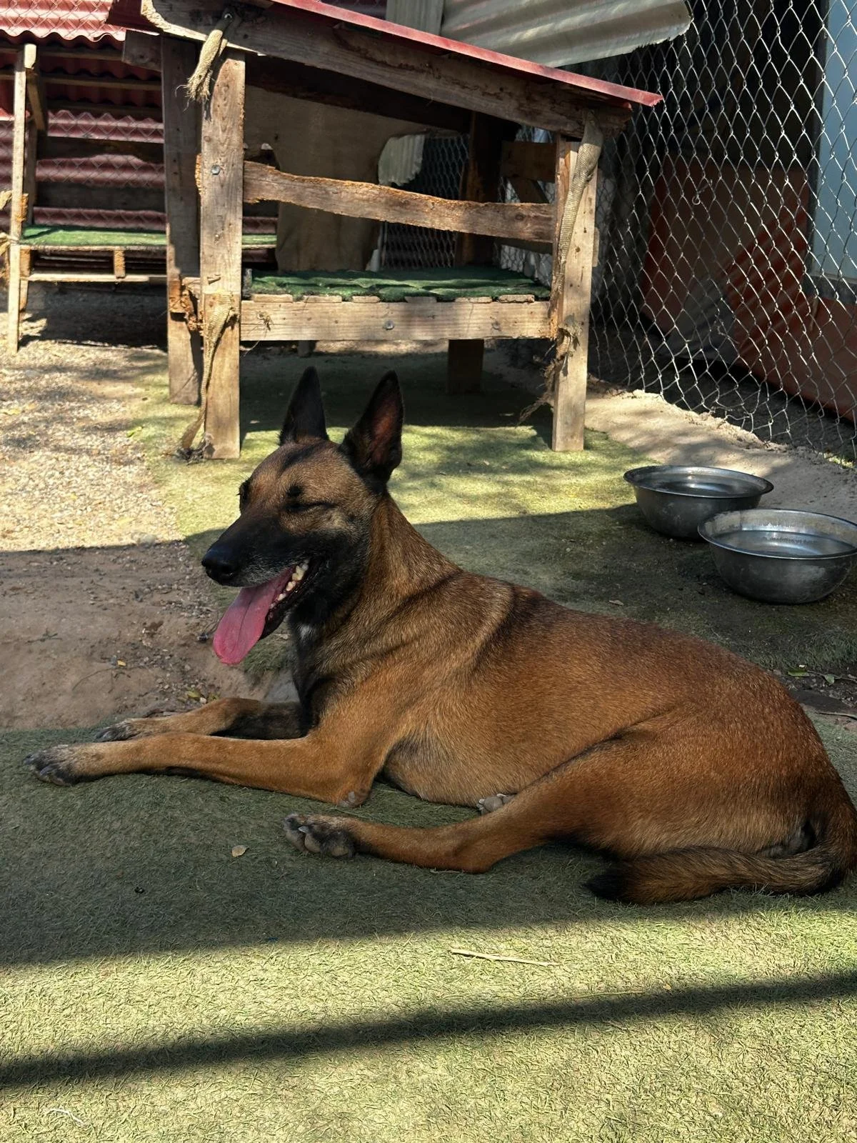 WhatsApp Image 2026-03-01 at 4.27.42 PM.jpeg