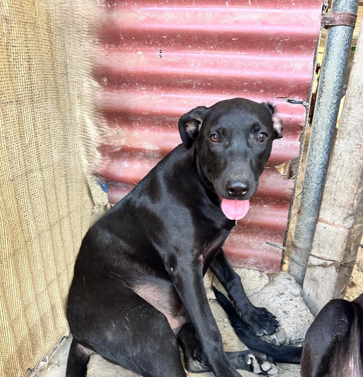 WhatsApp Image 2026-01-29 at 4.29.44 PM.jpeg