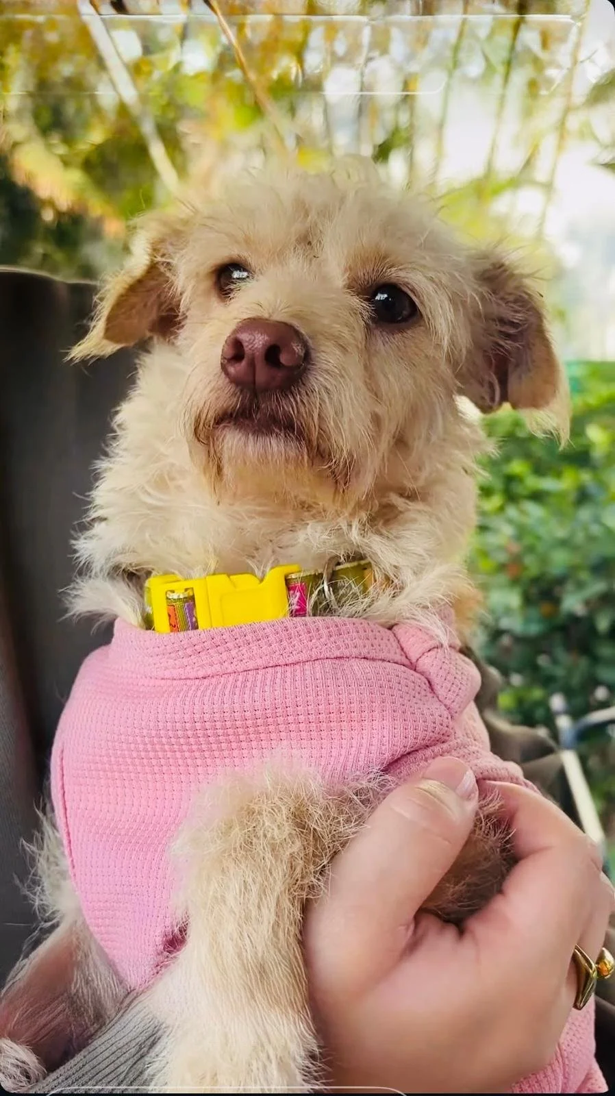 WhatsApp Image 2026-03-02 at 5.04.45 PM.jpeg