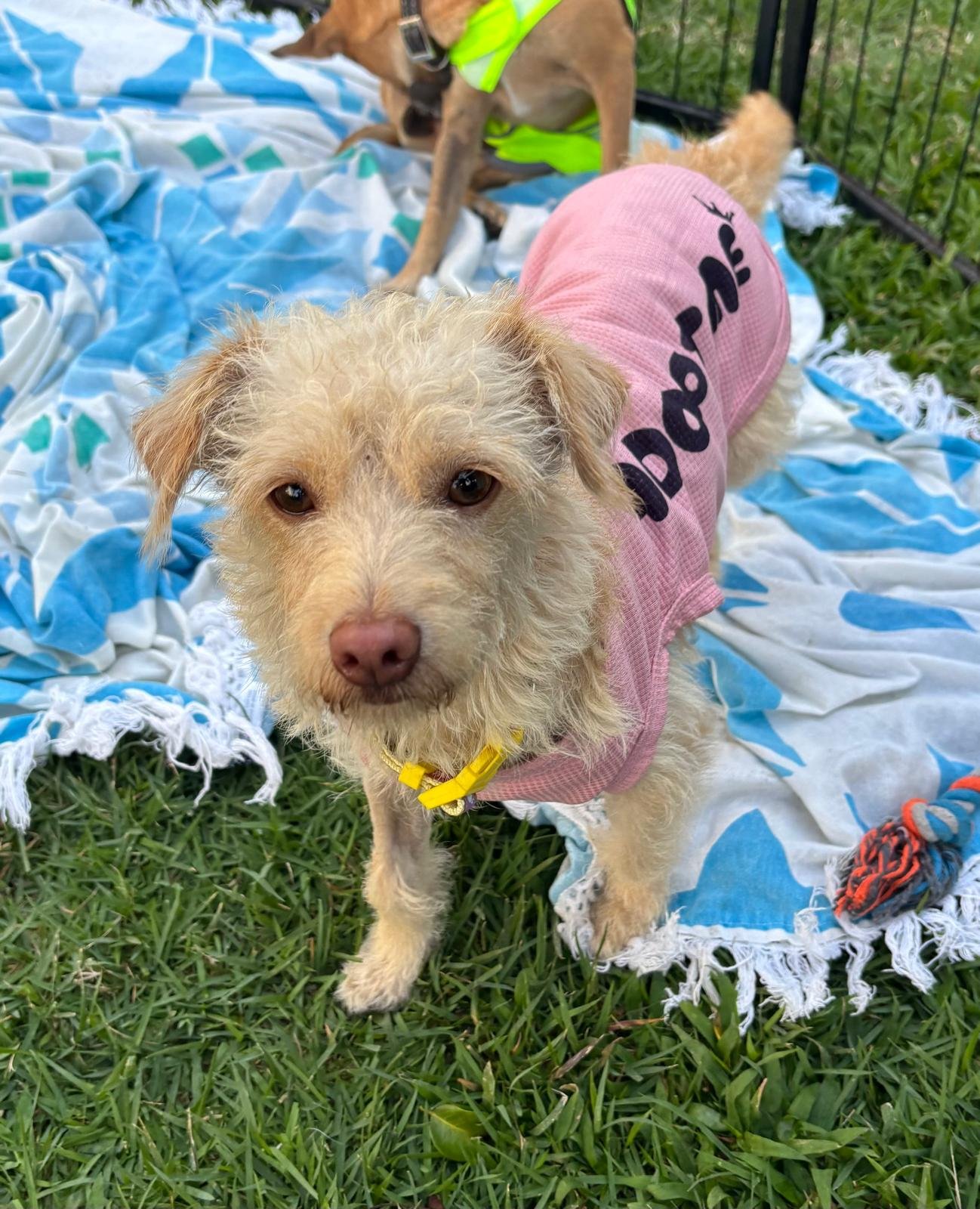 WhatsApp Image 2026-03-02 at 5.09.26 PM.jpeg