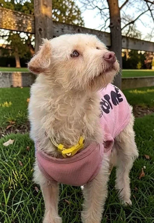 WhatsApp Image 2026-03-02 at 5.04.44 PM2 (1).jpg