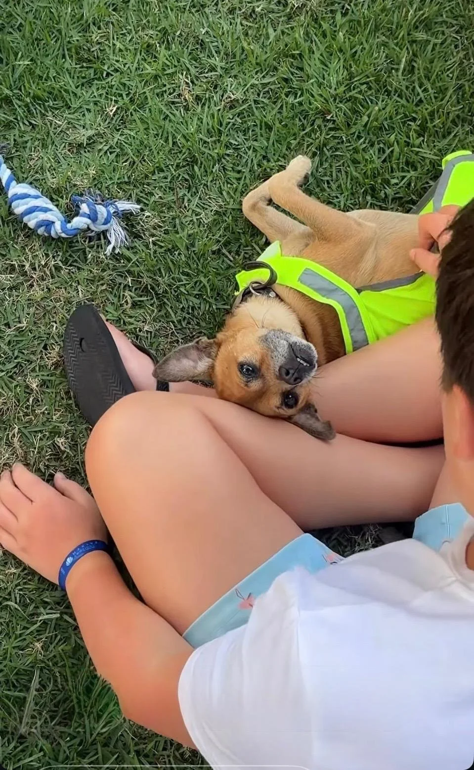 WhatsApp Image 2026-03-02 at 5.04.44 PM (1).jpeg