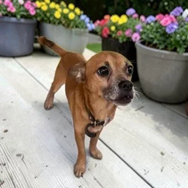 e2f95192-e5bc-4f8c-9154-c401b97f36bfc (1).jpg