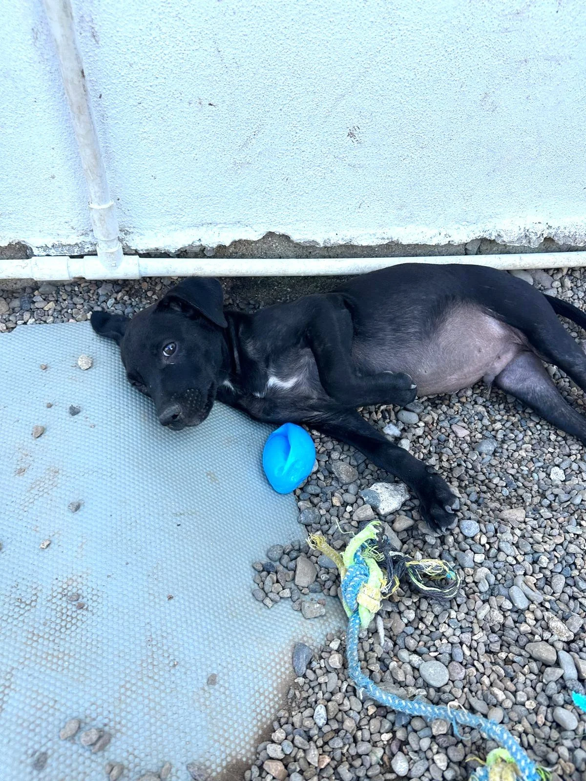 WhatsApp Image 2026-03-03 at 2.50.54 PM.jpeg