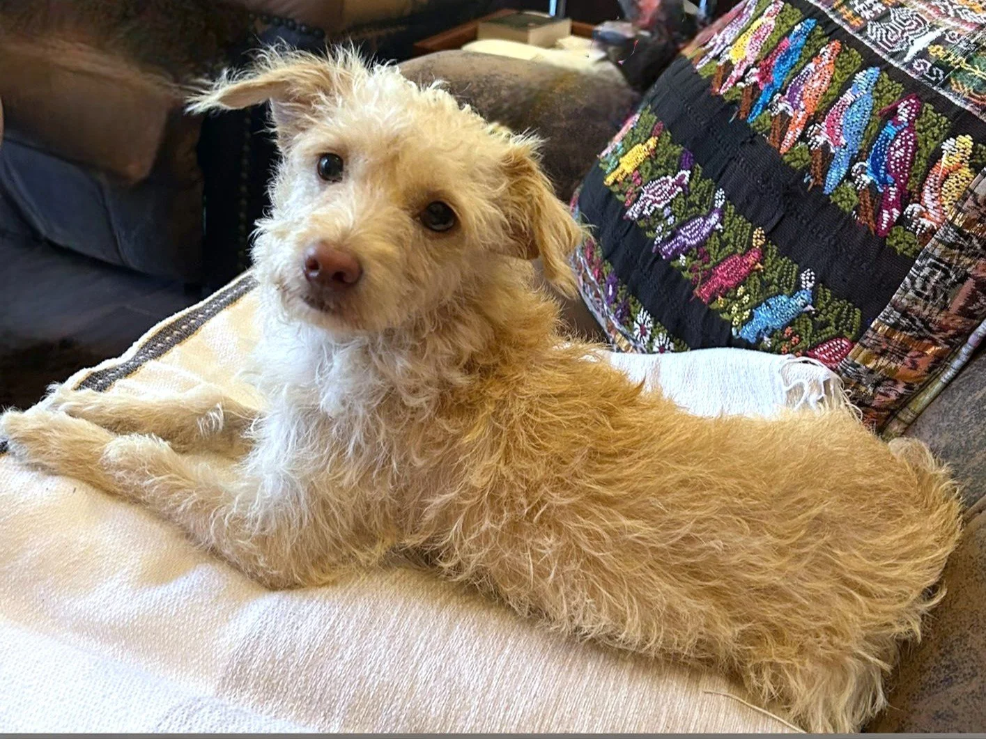 WhatsApp Image 2026-03-04 at 9.11.11 AMx.jpg