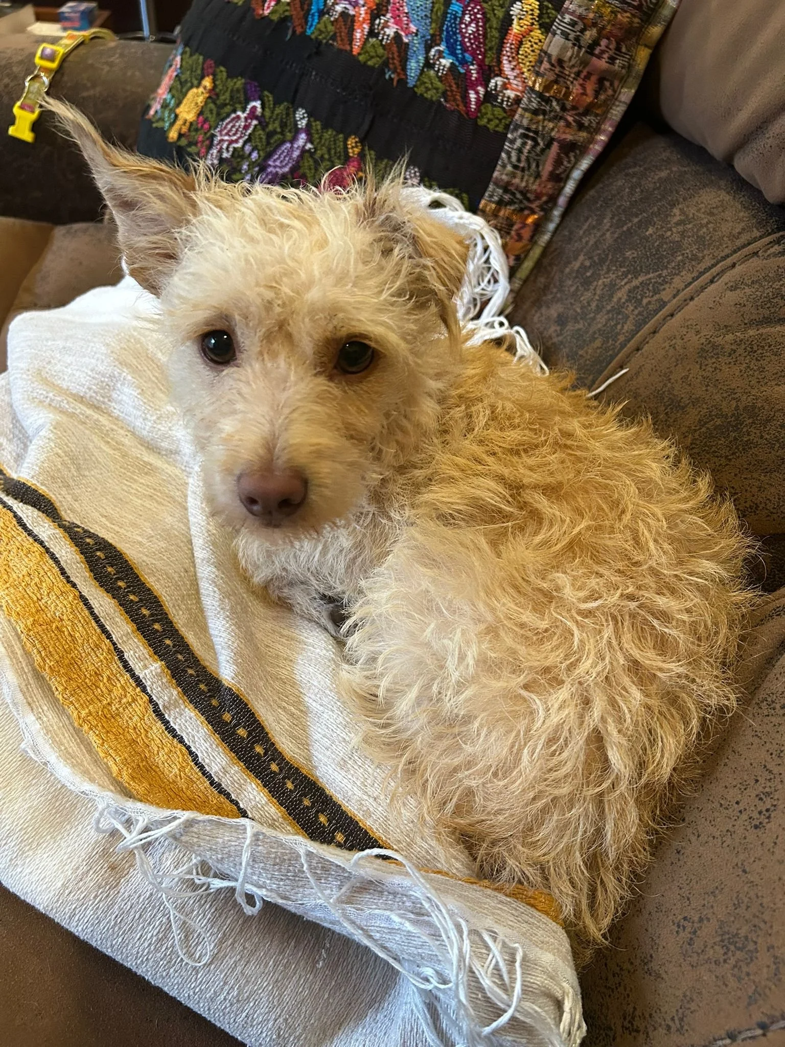 WhatsApp Image 2026-03-04 at 9.11.11 AM (1).jpeg