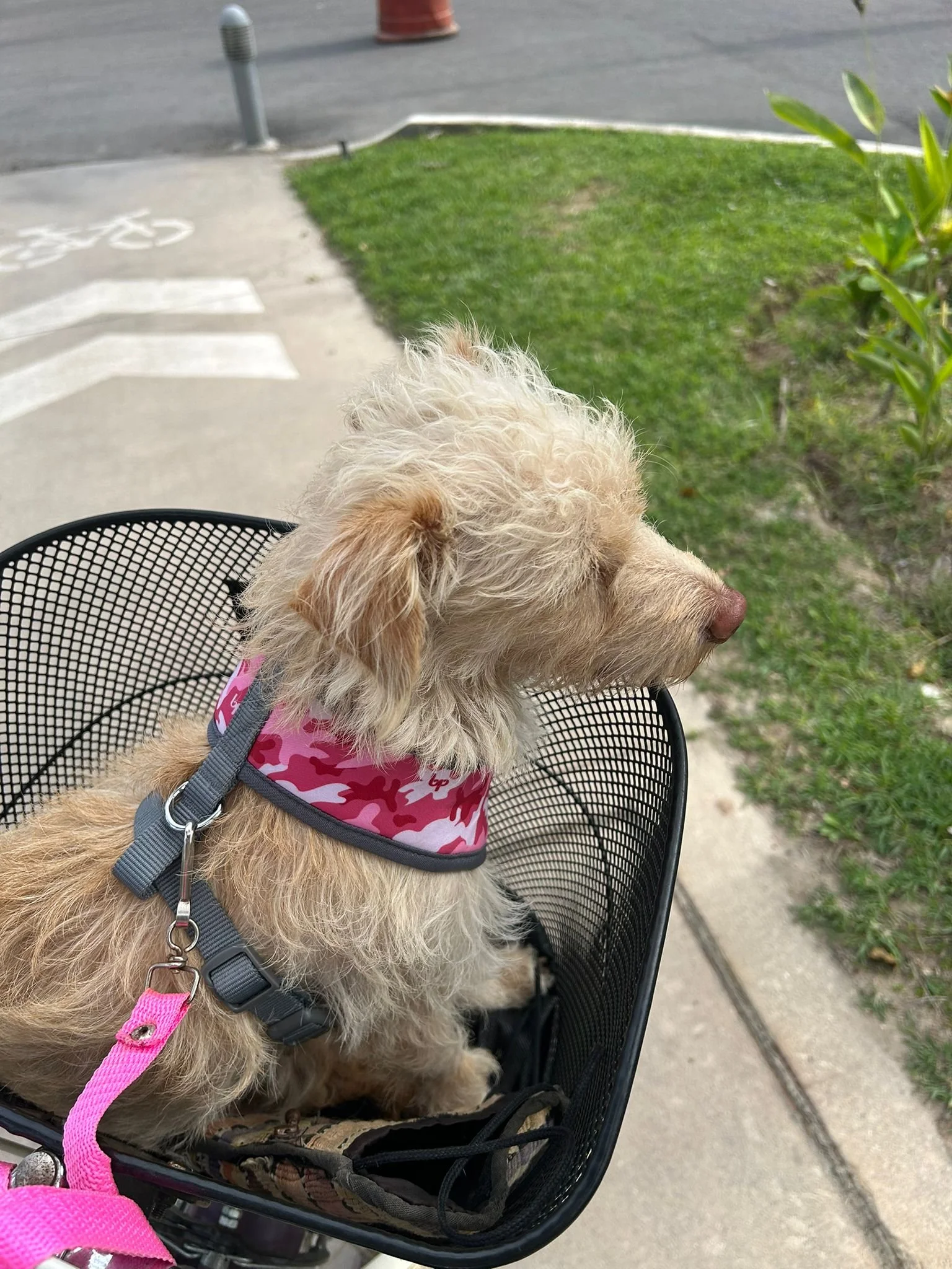 WhatsApp Image 2026-03-04 at 9.11.10 AM (1).jpeg