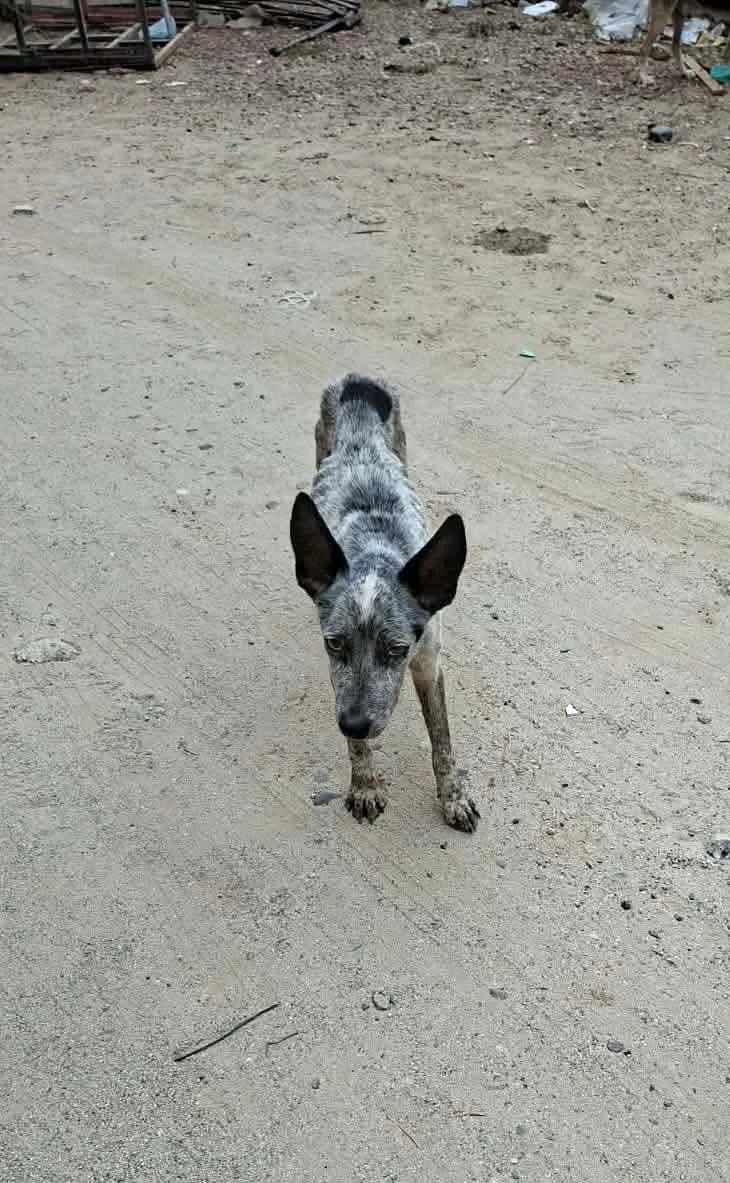 WhatsApp Image 2026-03-04 at 9.37.19 AM (1).jpeg