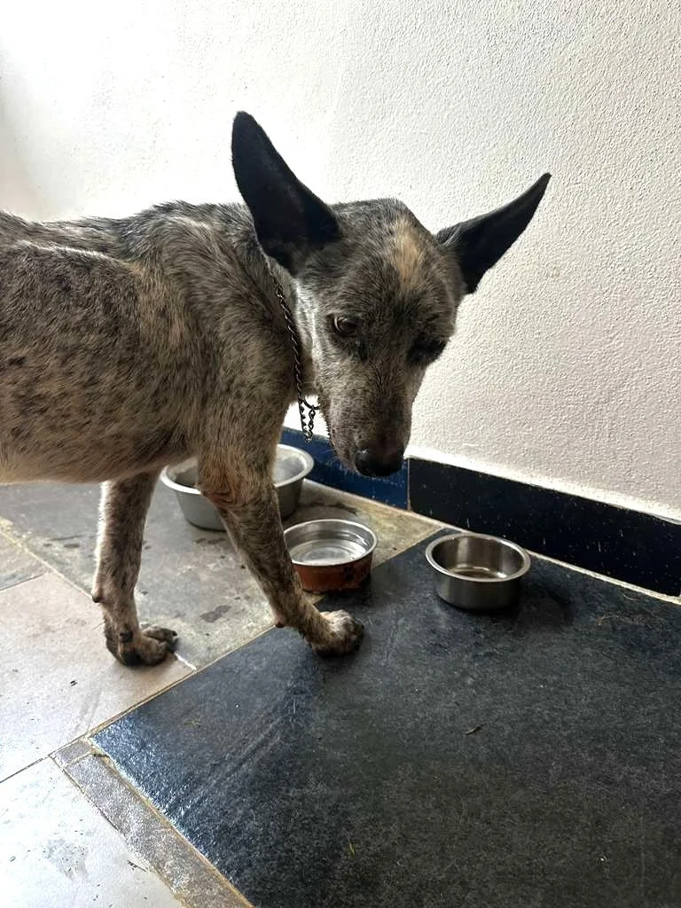 WhatsApp Image 2026-03-04 at 9.37.22 AM.jpeg