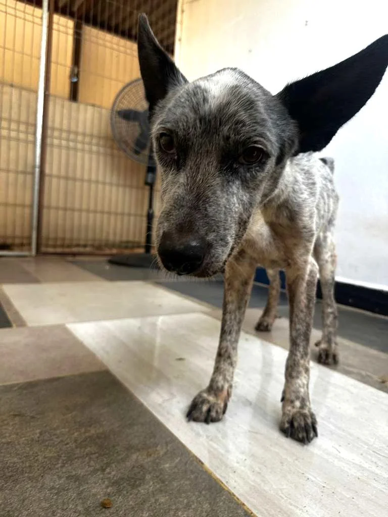 WhatsApp Image 2026-03-04 at 9.37.24 AM (1).jpeg