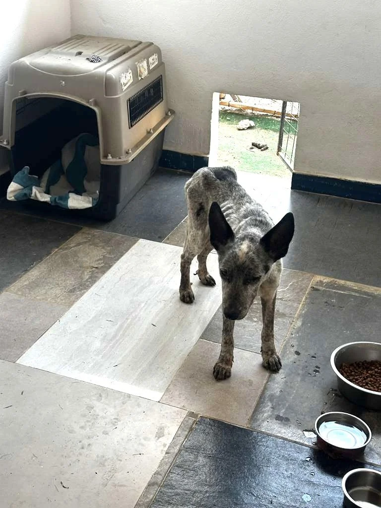 WhatsApp Image 2026-03-04 at 9.37.24 AM (2).jpeg