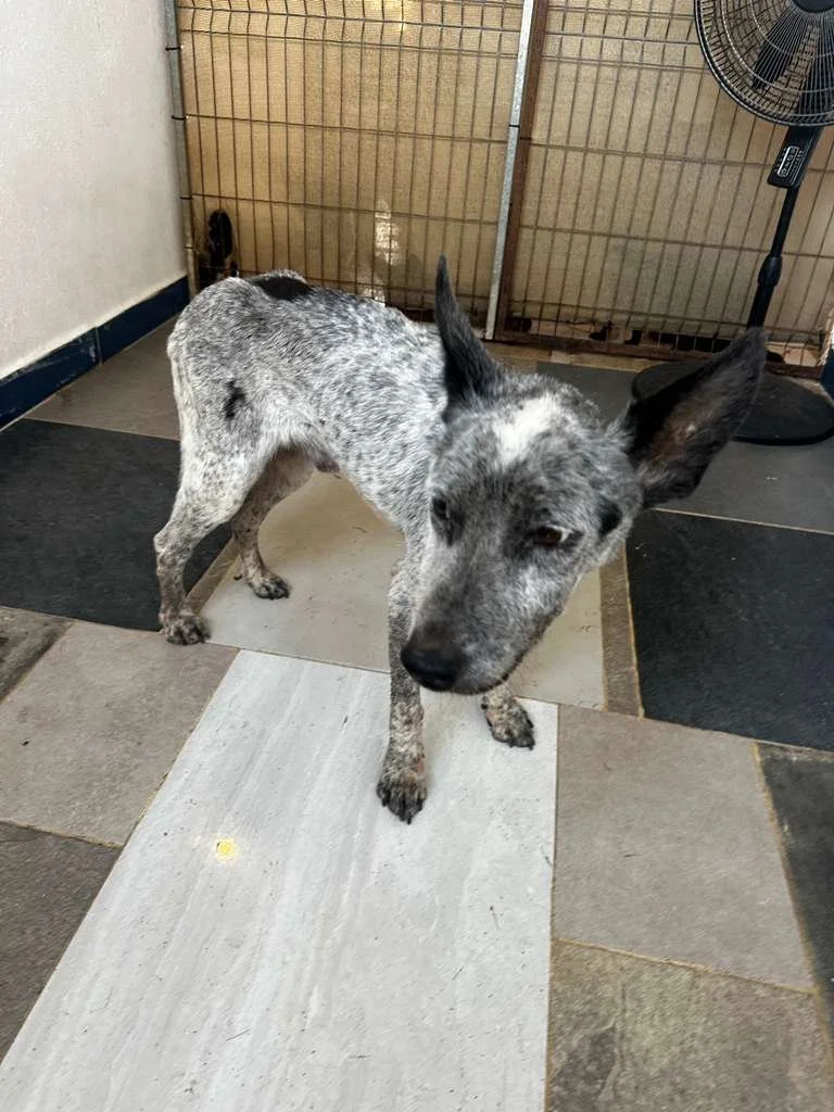 WhatsApp Image 2026-03-04 at 9.37.22 AM (1).jpeg