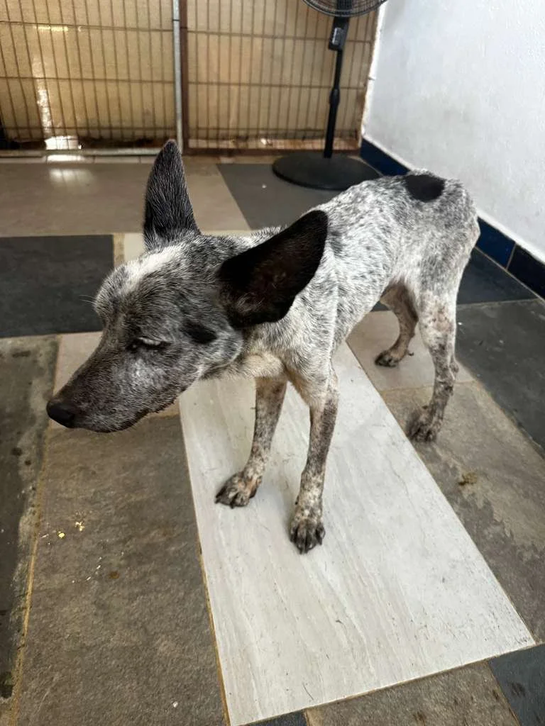 WhatsApp Image 2026-03-04 at 9.37.23 AM (2).jpeg