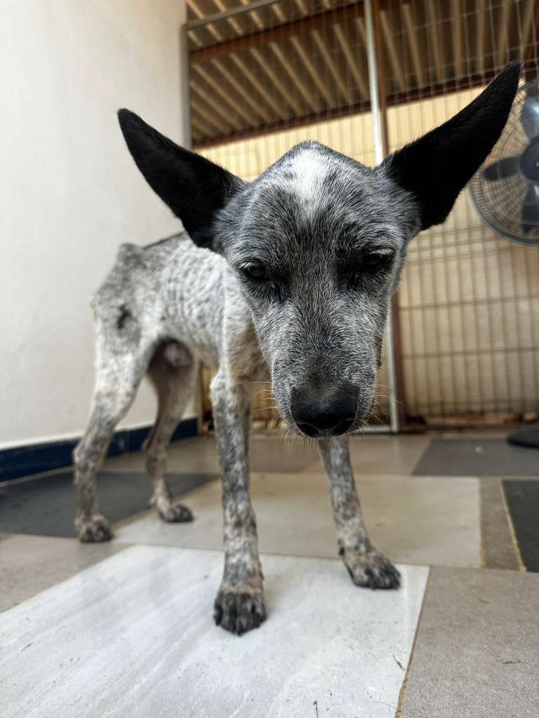 WhatsApp Image 2026-03-04 at 9.37.23 AM.jpeg