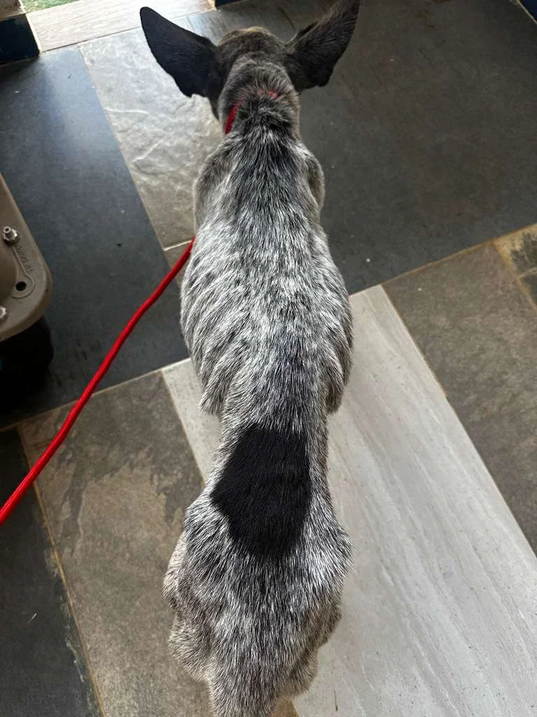 WhatsApp Image 2026-03-04 at 9.37.20 AM.jpeg