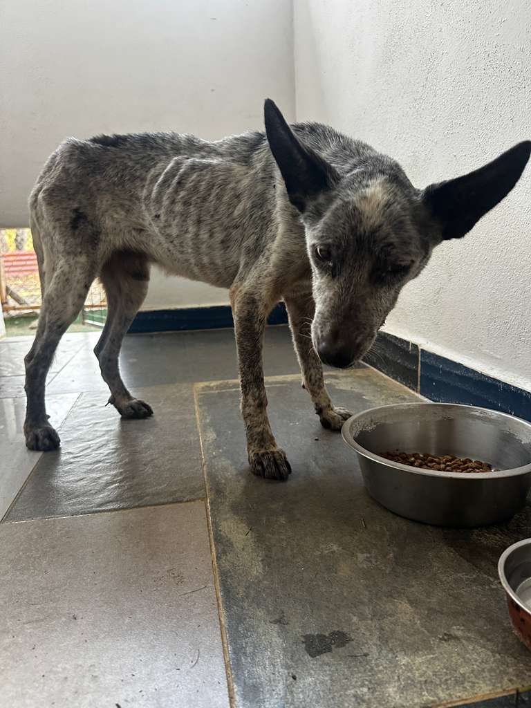 WhatsApp Image 2026-03-04 at 9.37.21 AM (3).jpeg