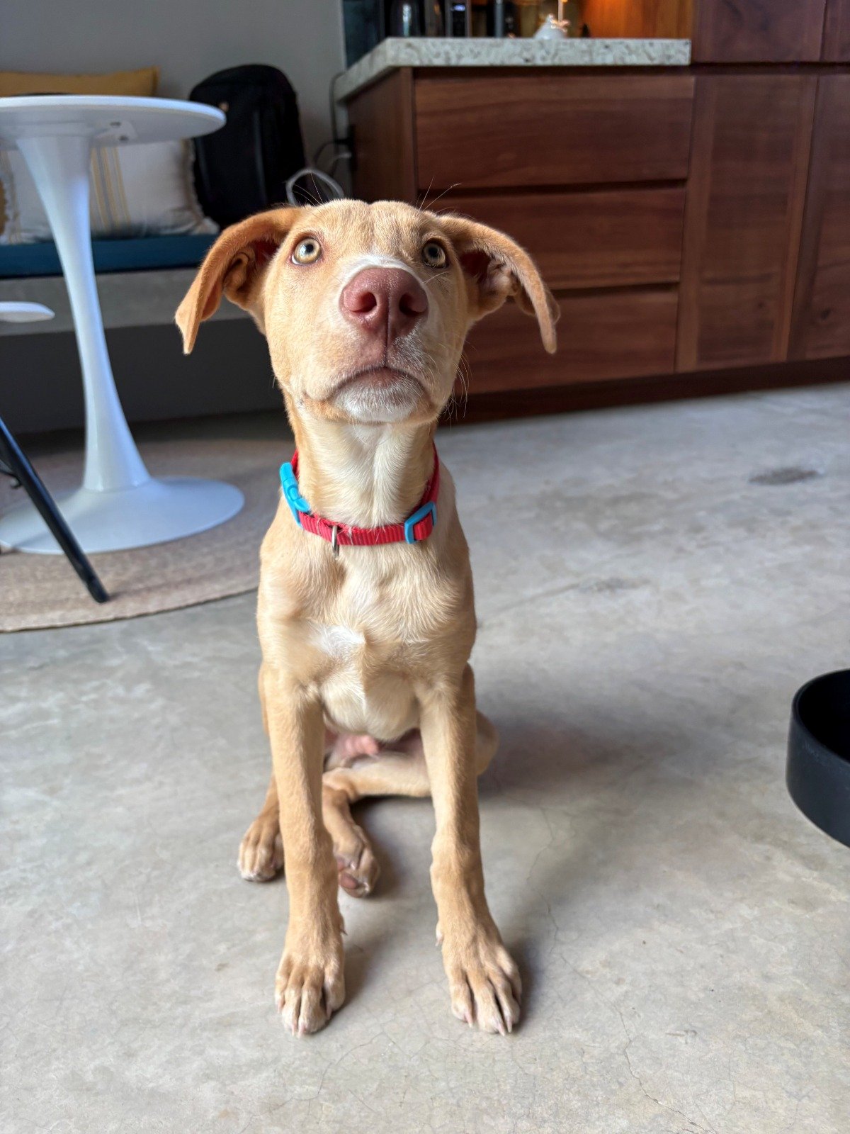 WhatsApp Image 2026-03-03 at 8.18.53 AM (2).jpeg