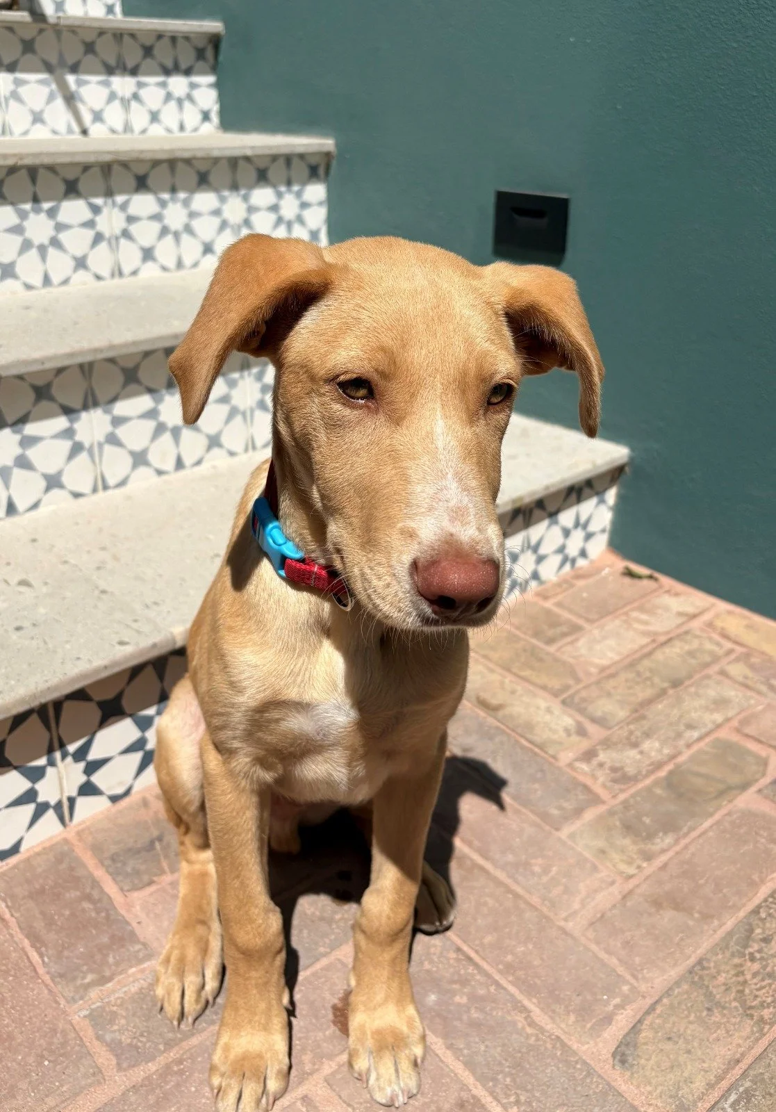 WhatsApp Image 2026-03-03 at 8.18.53 AM (3).jpeg