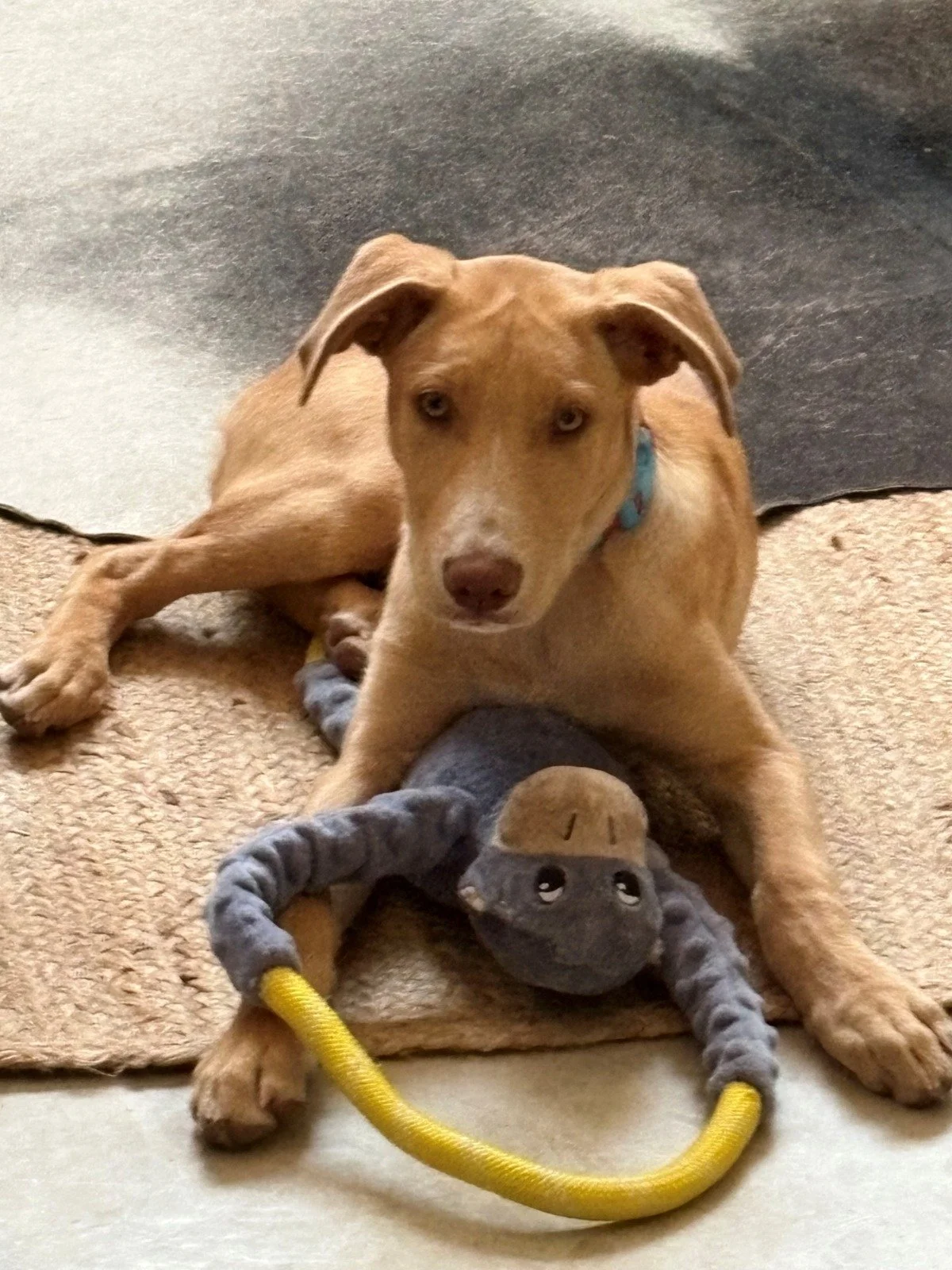 WhatsApp Image 2026-03-03 at 8.18.53 AM.jpeg