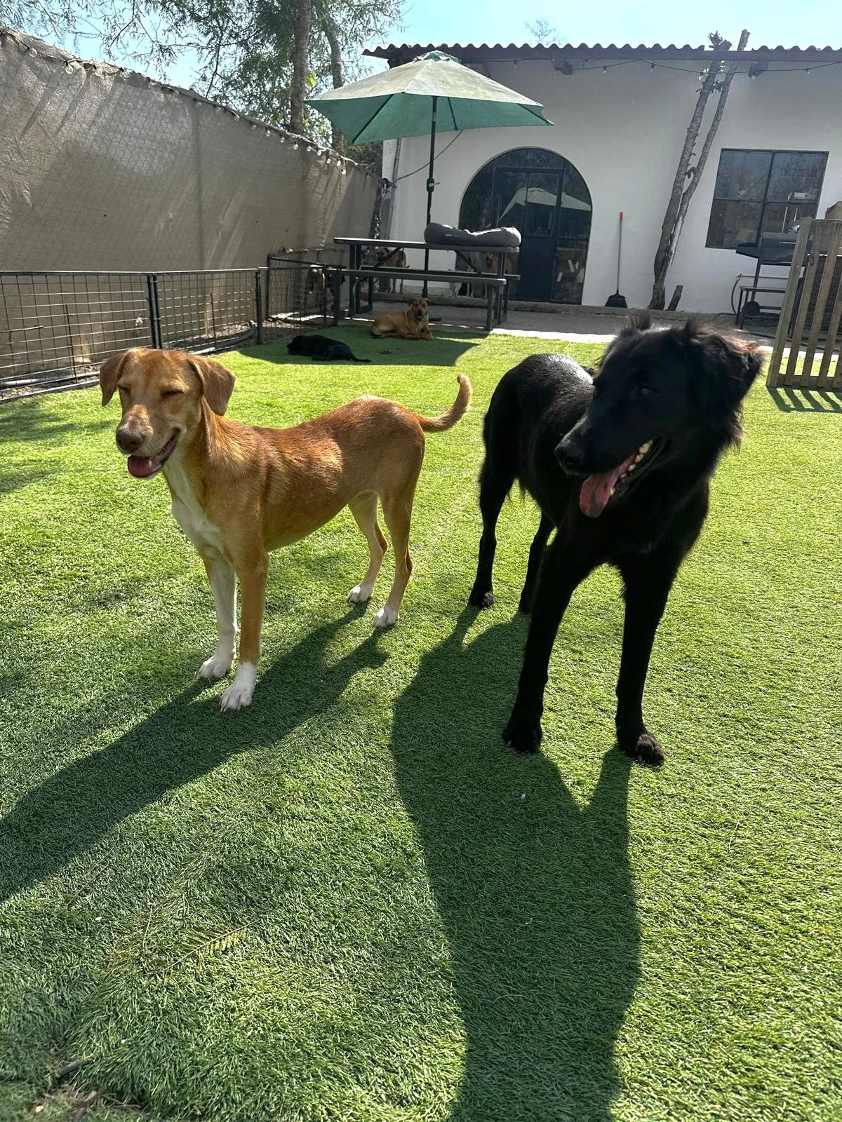 WhatsApp Image 2026-03-03 at 4.04.10 PM (1).jpeg