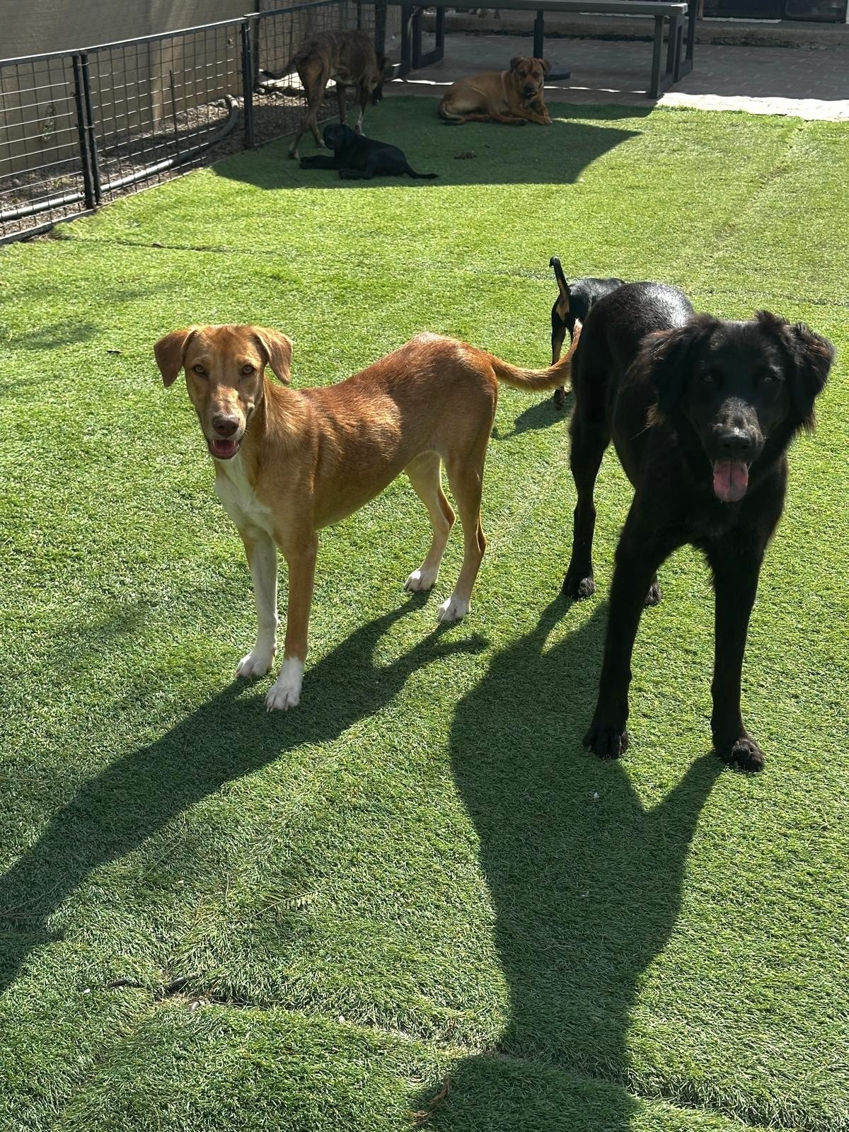 WhatsApp Image 2026-03-03 at 4.04.10 PM.jpeg