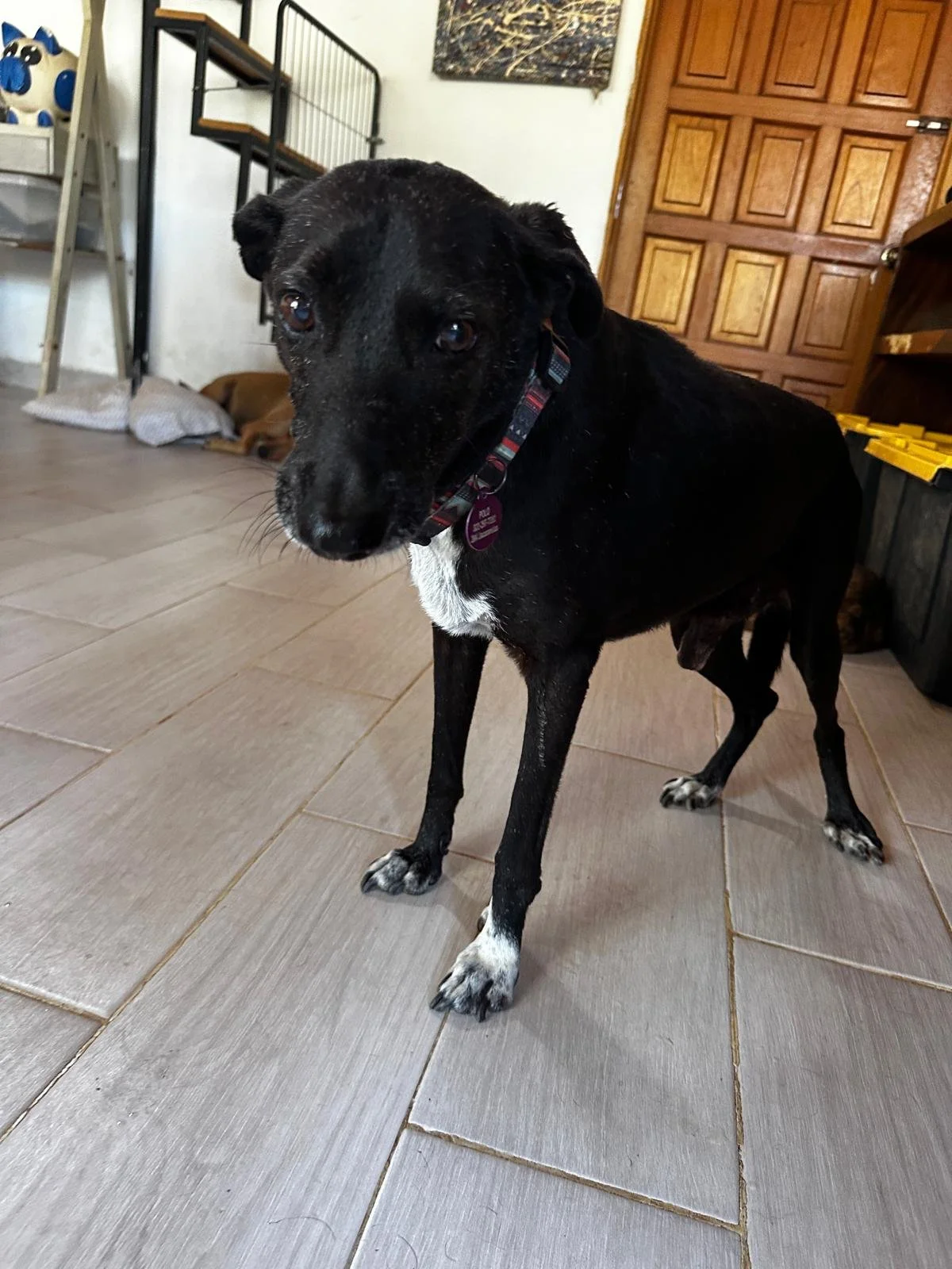 WhatsApp Image 2026-03-03 at 4.15.43 PM (2).jpeg