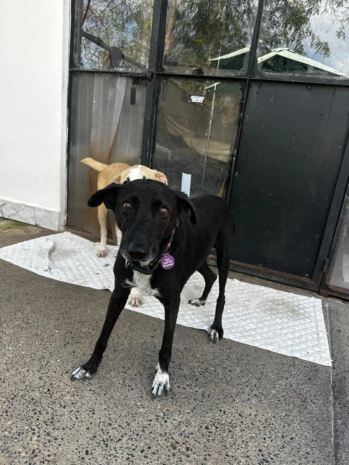 WhatsApp Image 2026-03-03 at 4.15.43 PM (3).jpeg