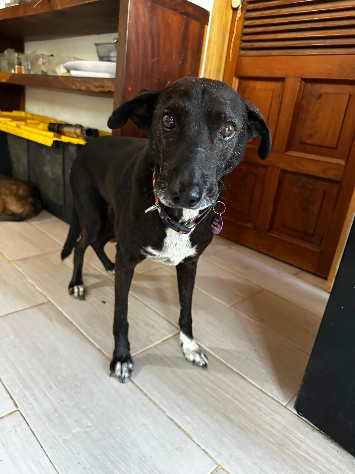 WhatsApp Image 2026-03-03 at 4.15.43 PM (1).jpeg