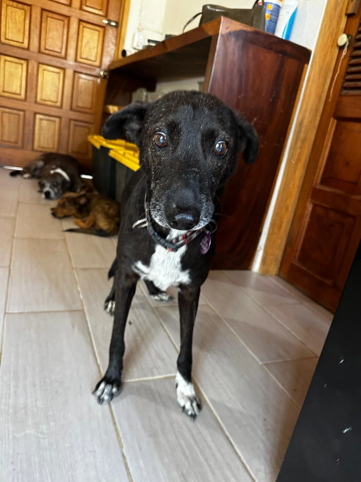 WhatsApp Image 2026-03-03 at 4.15.43 PM.jpeg